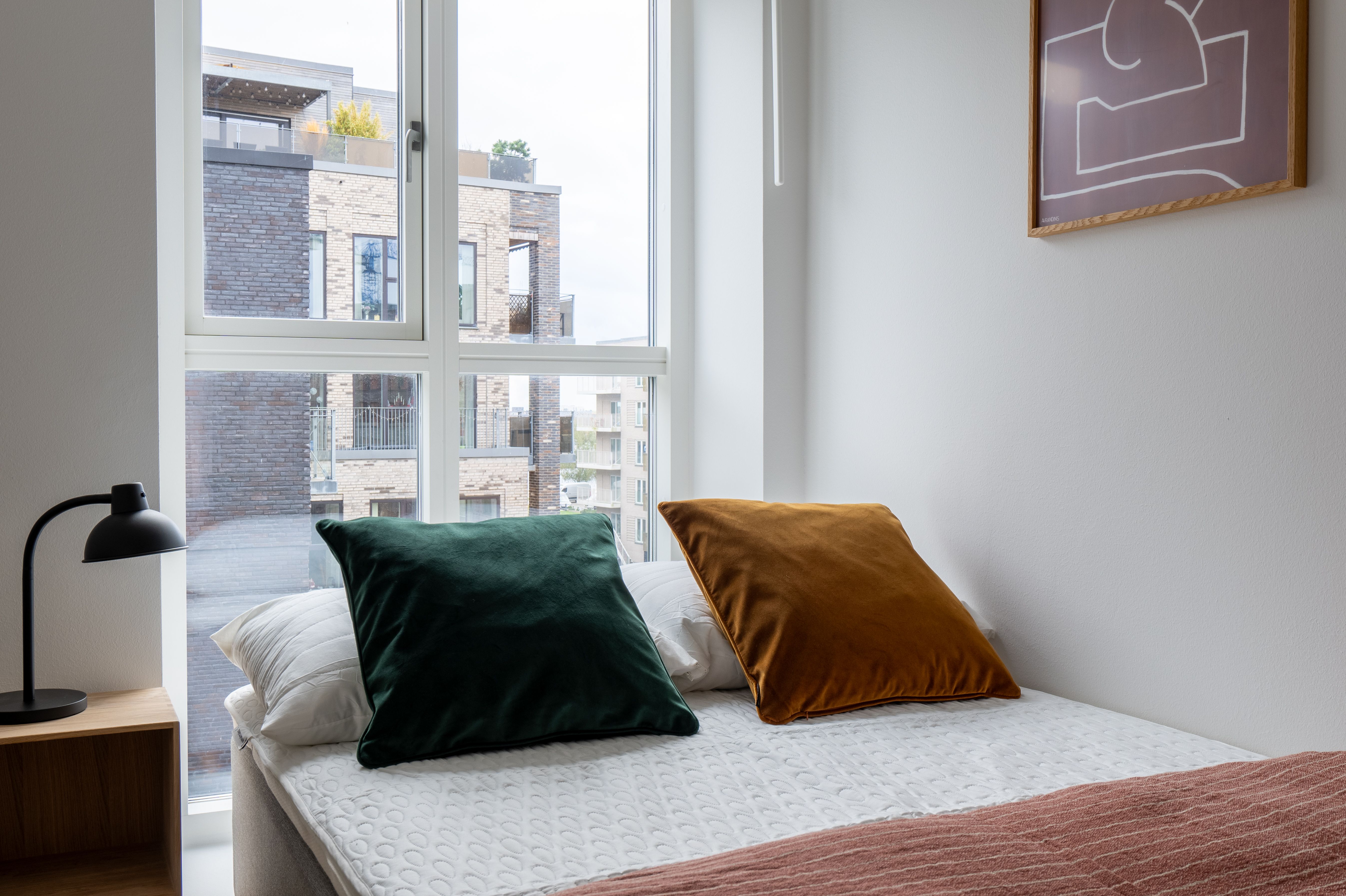 Furnished co-living apartment for working professionals