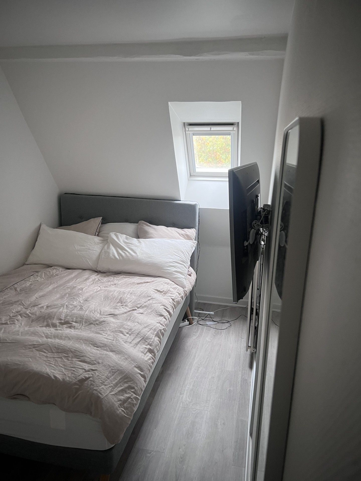 Hyggelig studio lejlighed