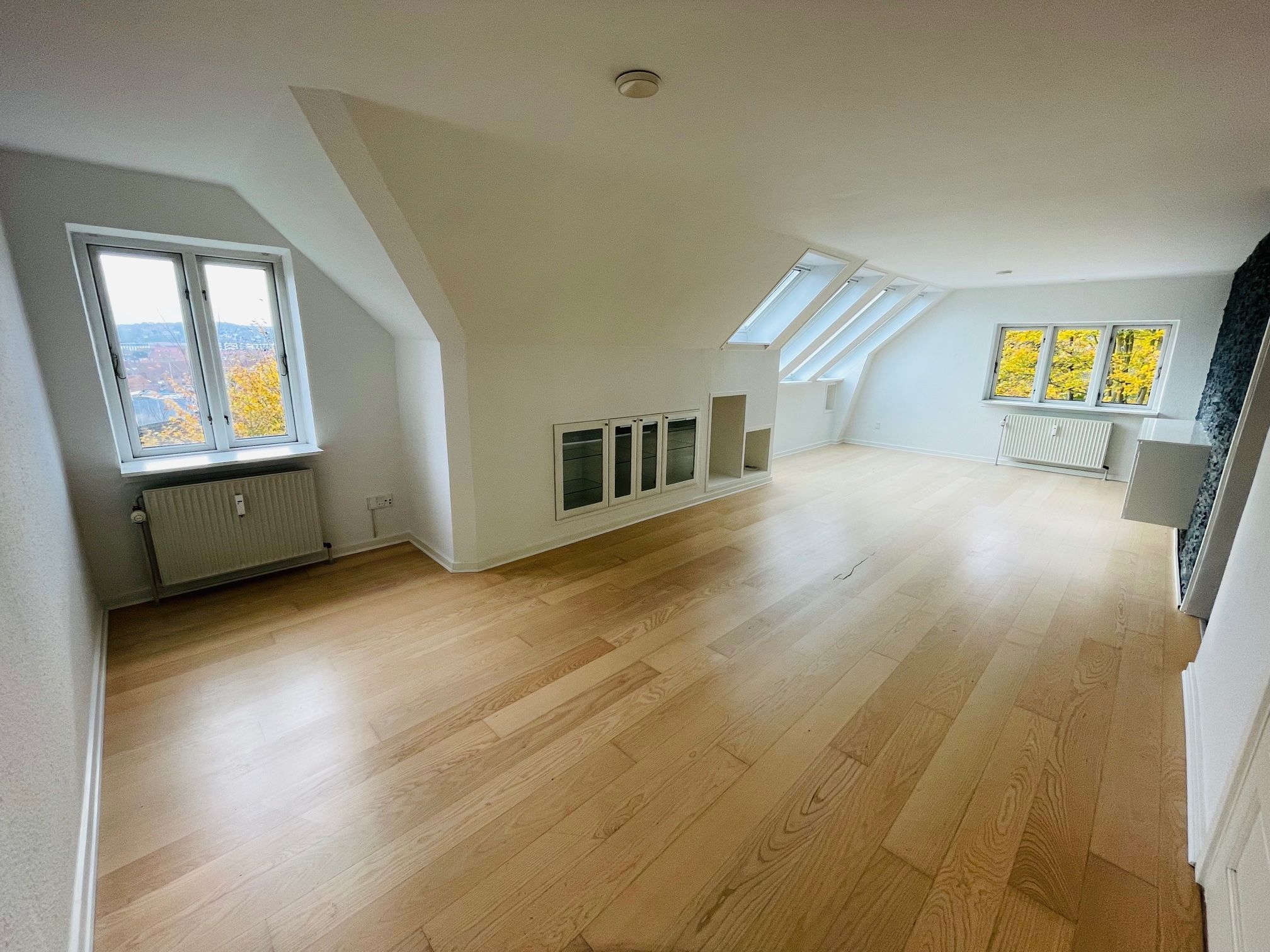 Panoramaudsigt med rigtig god plads!