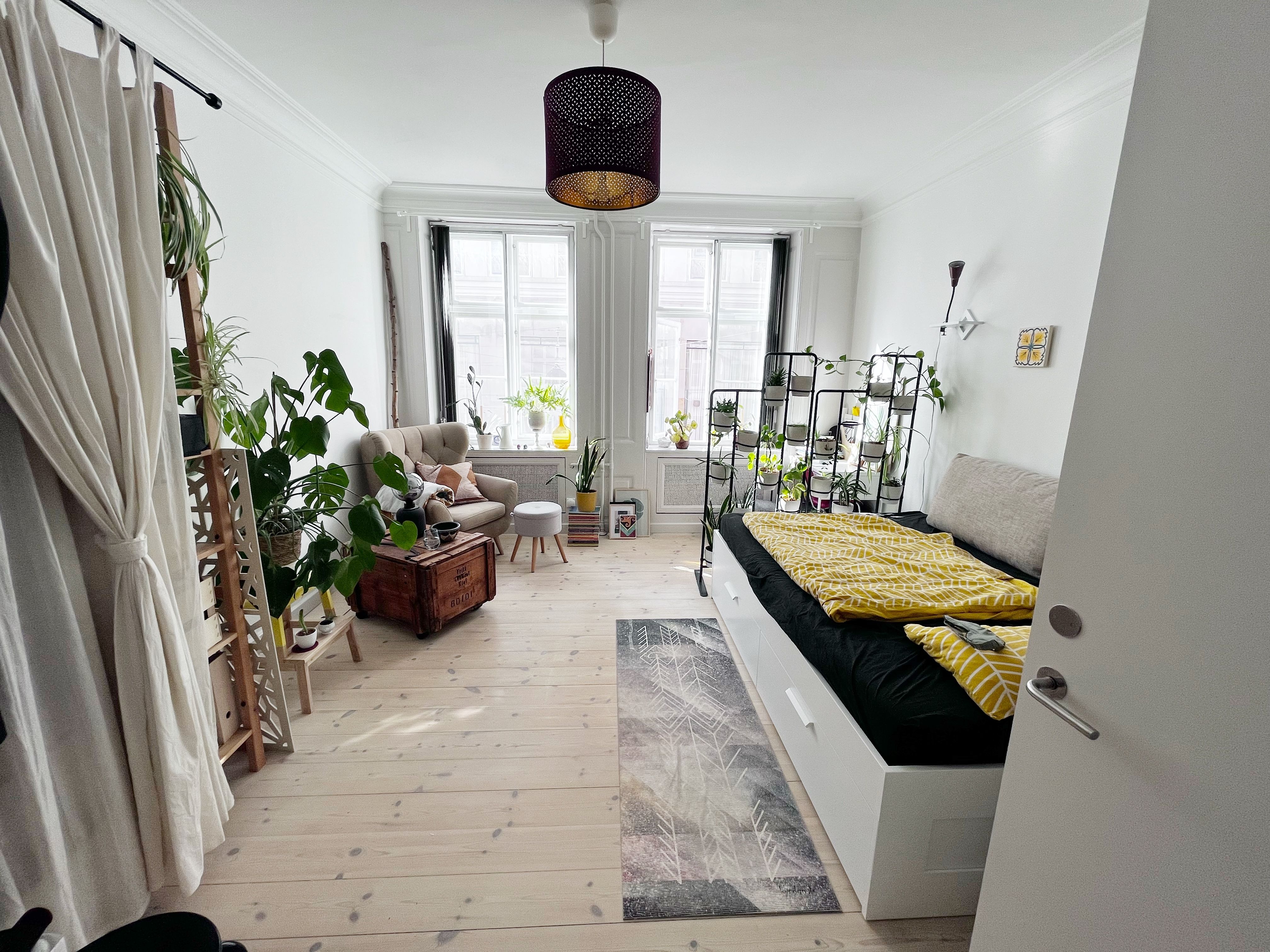 🌟 Spacious room in the heart of Copenhagen