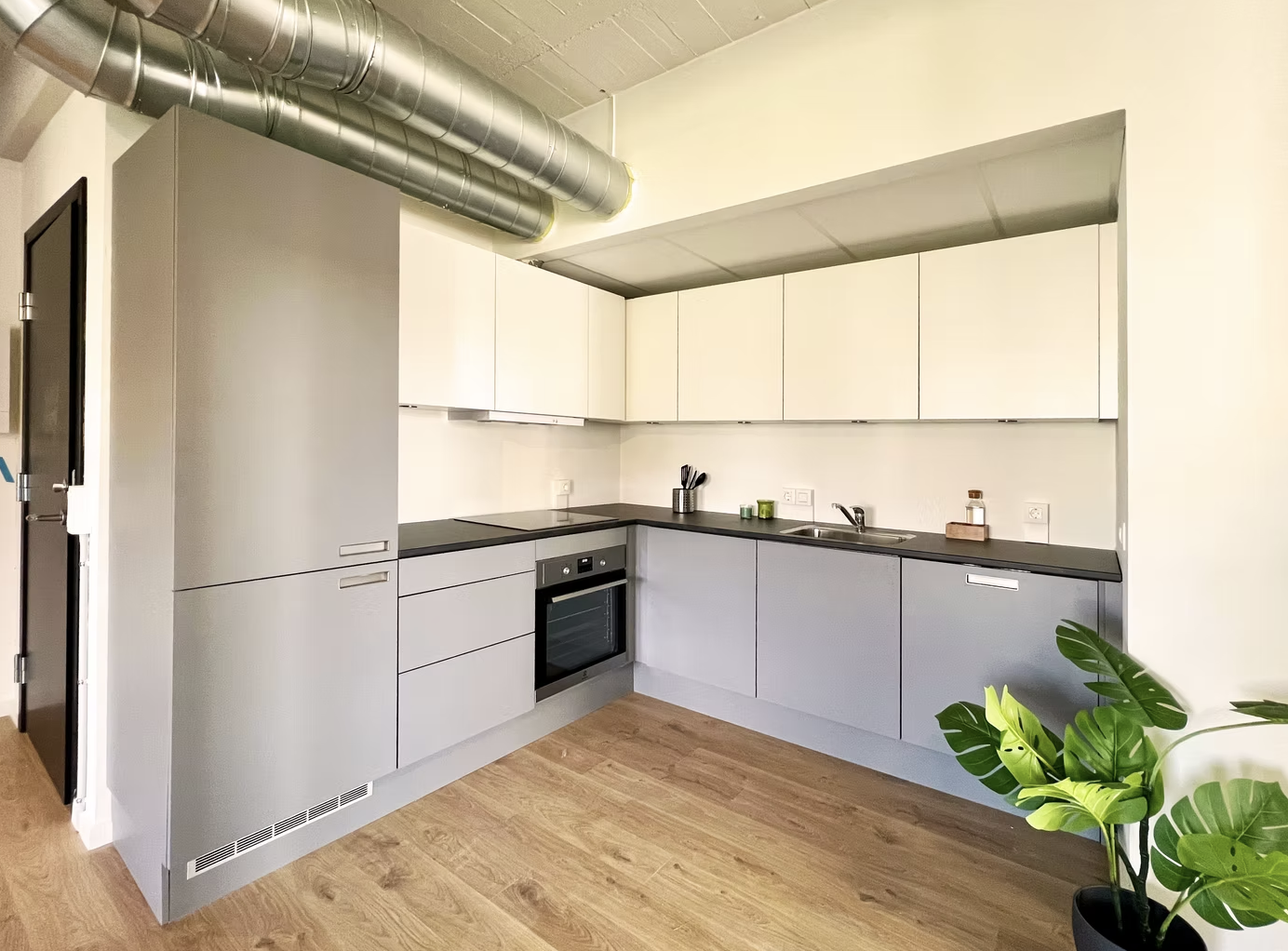 Renting a room in a co-living Apartment PULSE