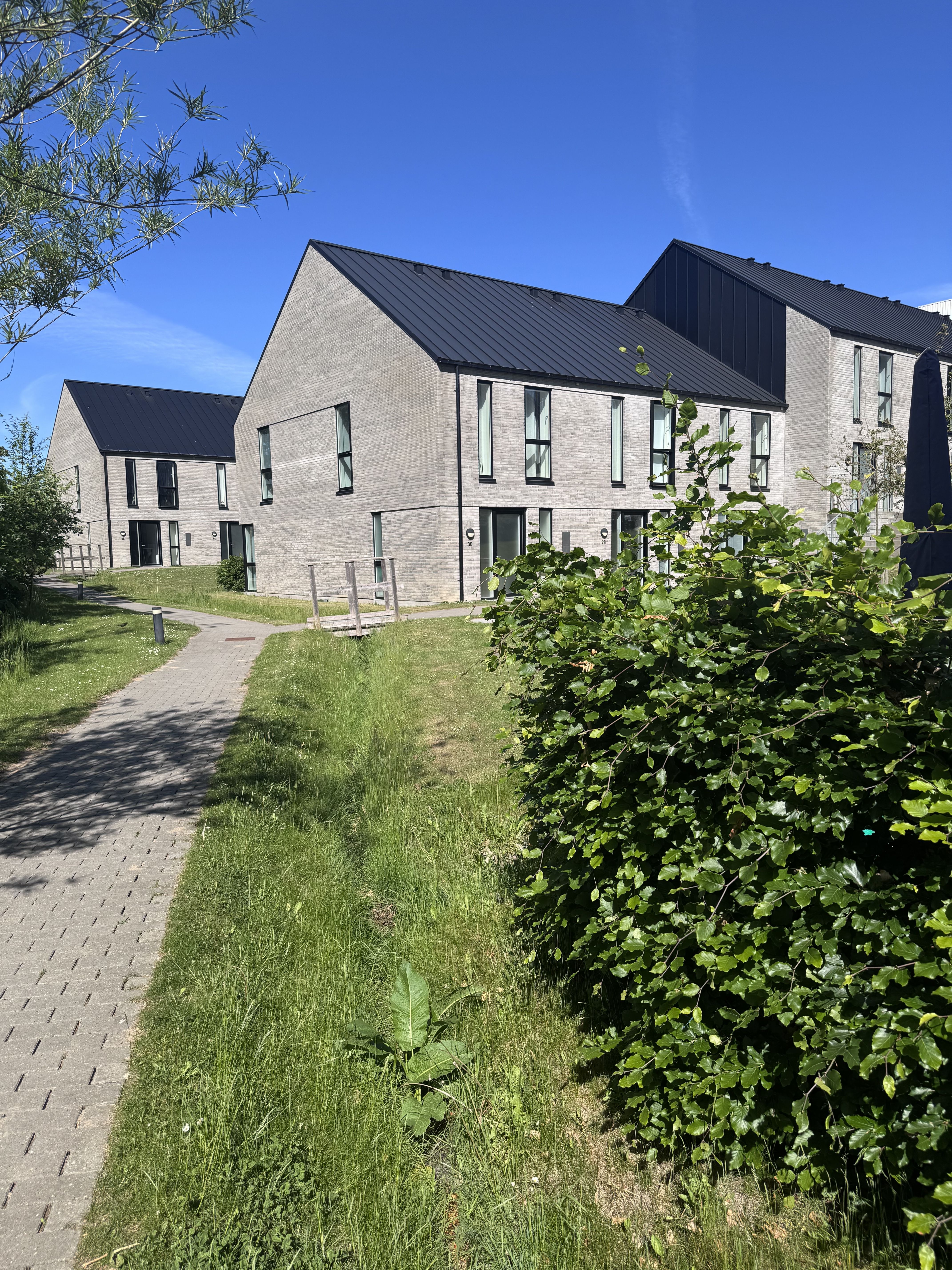 Rækkehus
