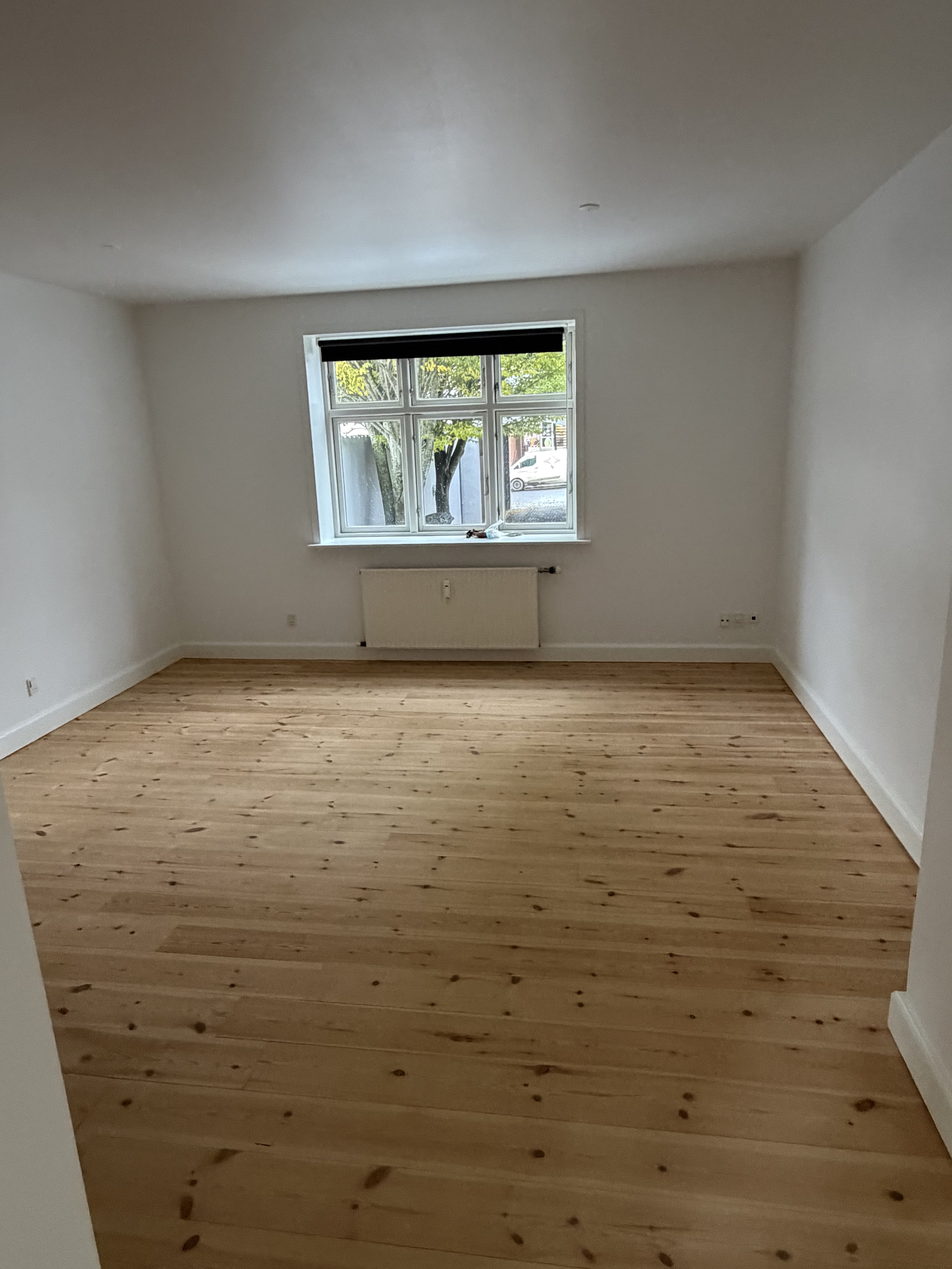 Rumlig 2 værelse med køkken alrum