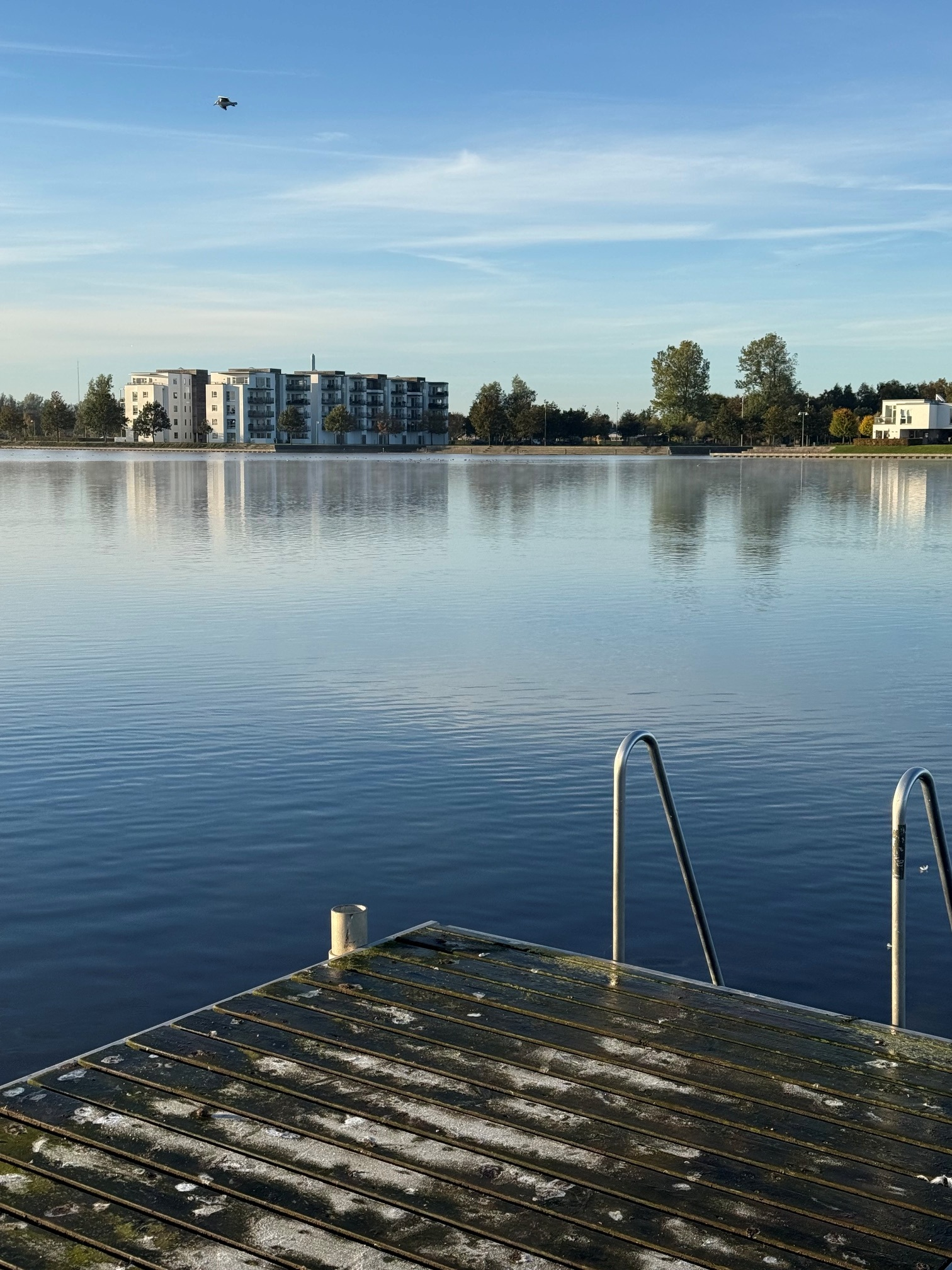 Attraktiv beliggenhed ved Fuglsang Sø
