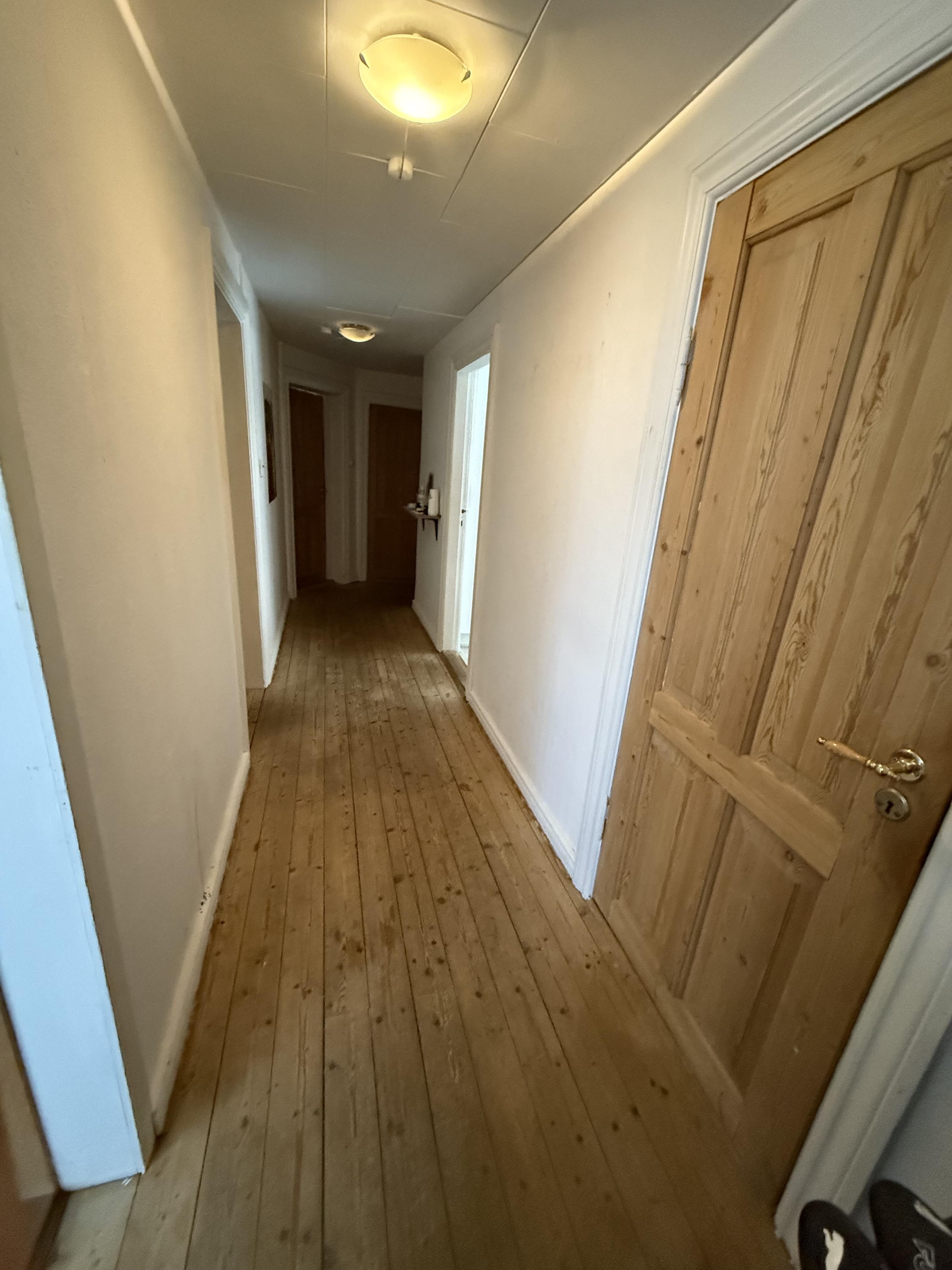 ✨ Stort værelse ledigt i hyggeligt bofællesskab for kvinder🏡