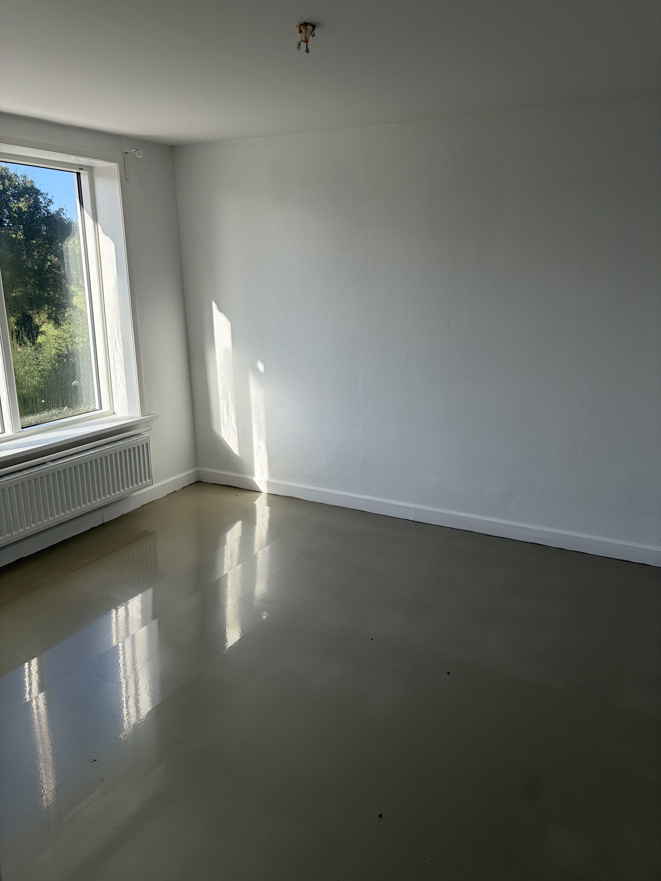 Hus – Svanninge - Visning 4