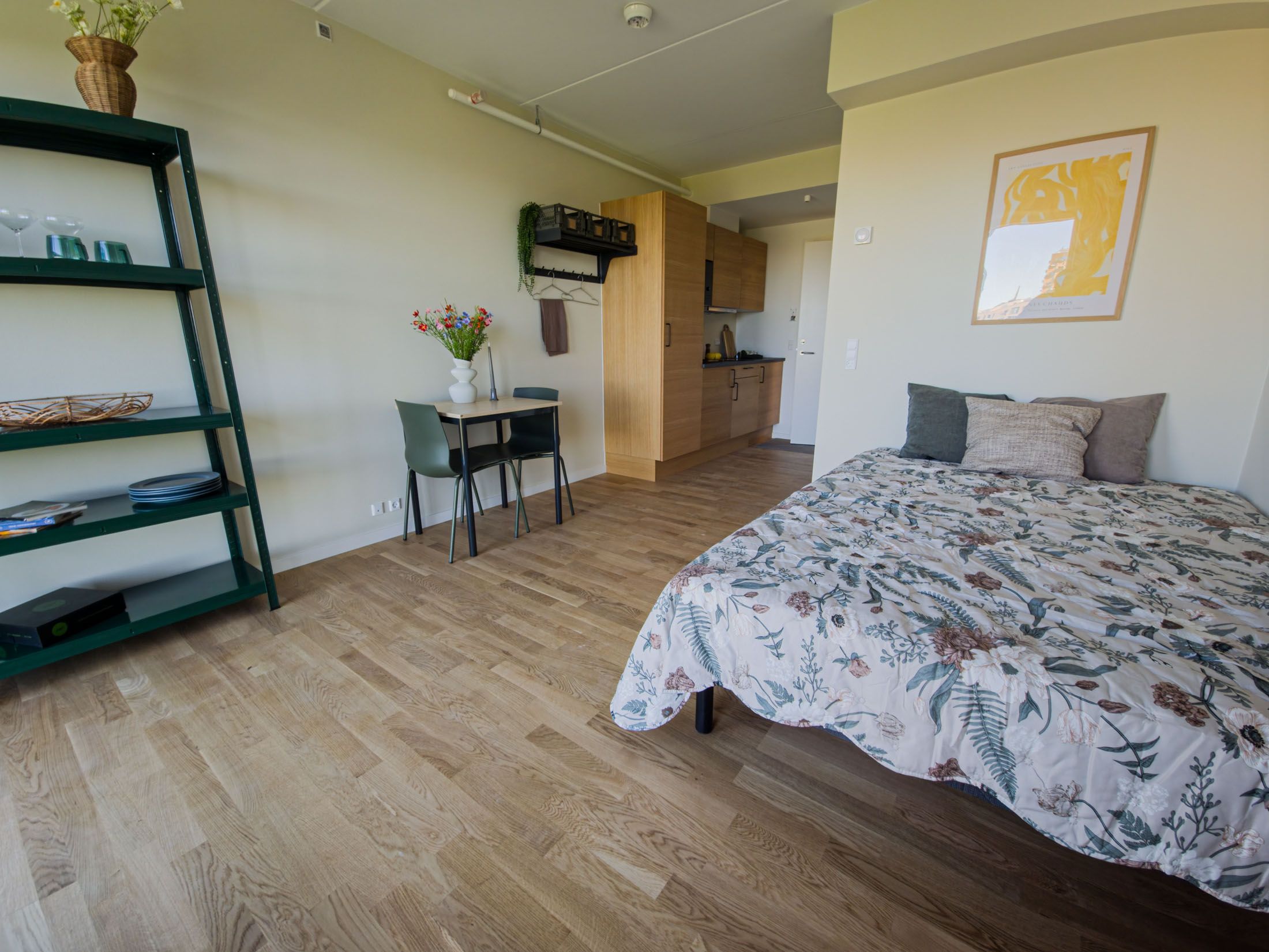 37 m² – moderne ungdomsbolig med fransk altan