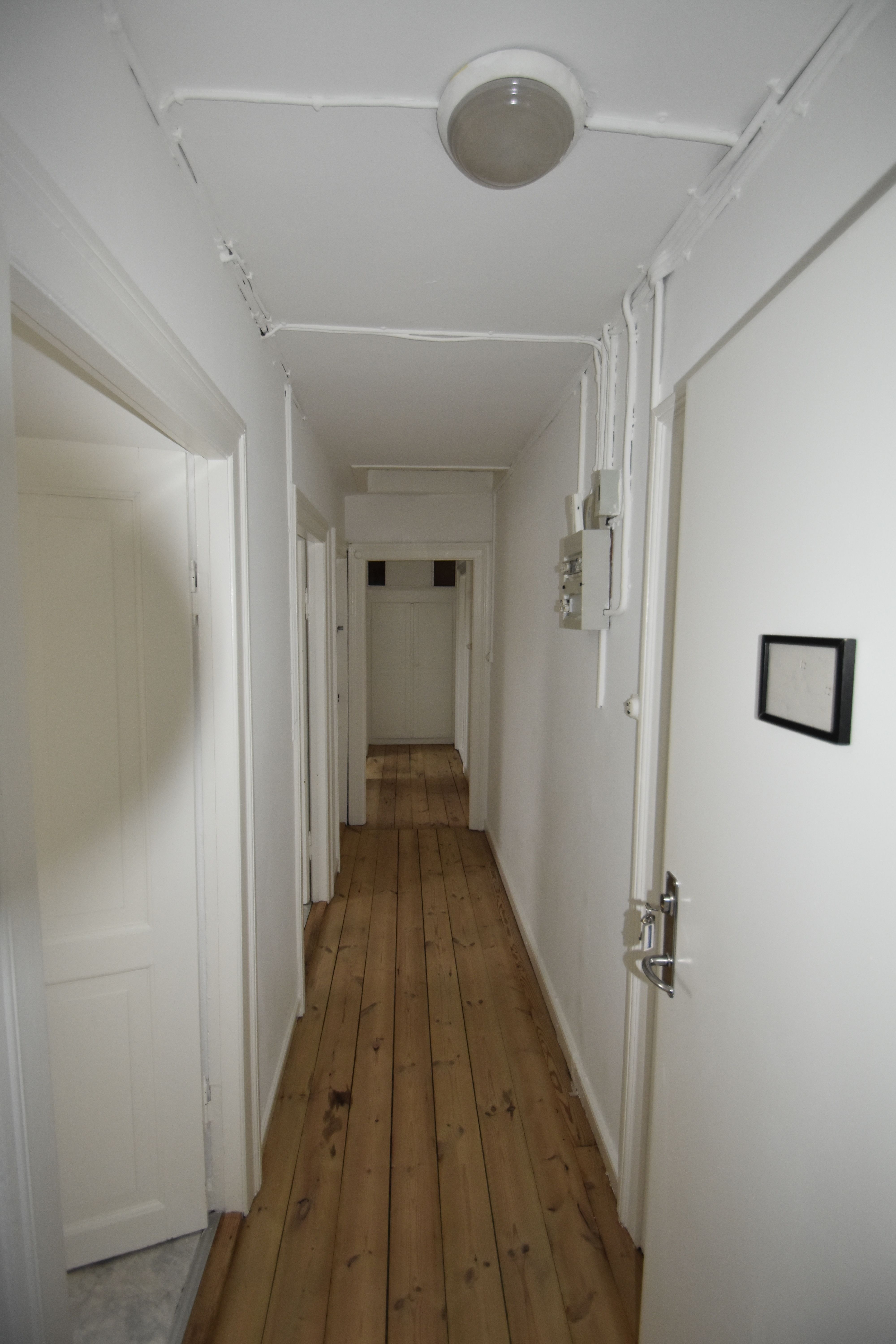 Stor lys og delevenlig lejlighed 