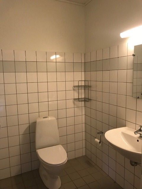 Lille men regulær lejlighed