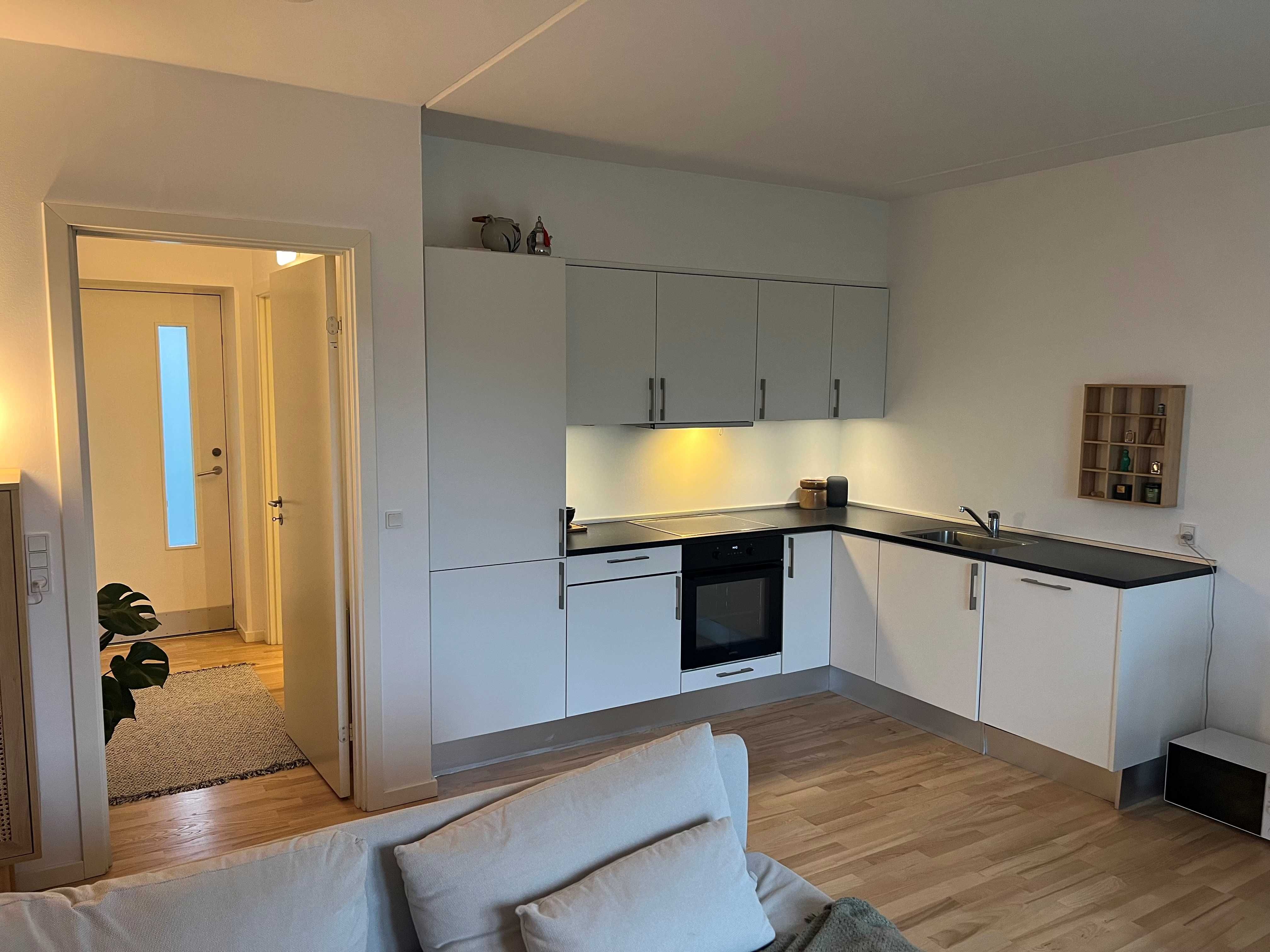 Lys moderne 2 værelses - Visning 3