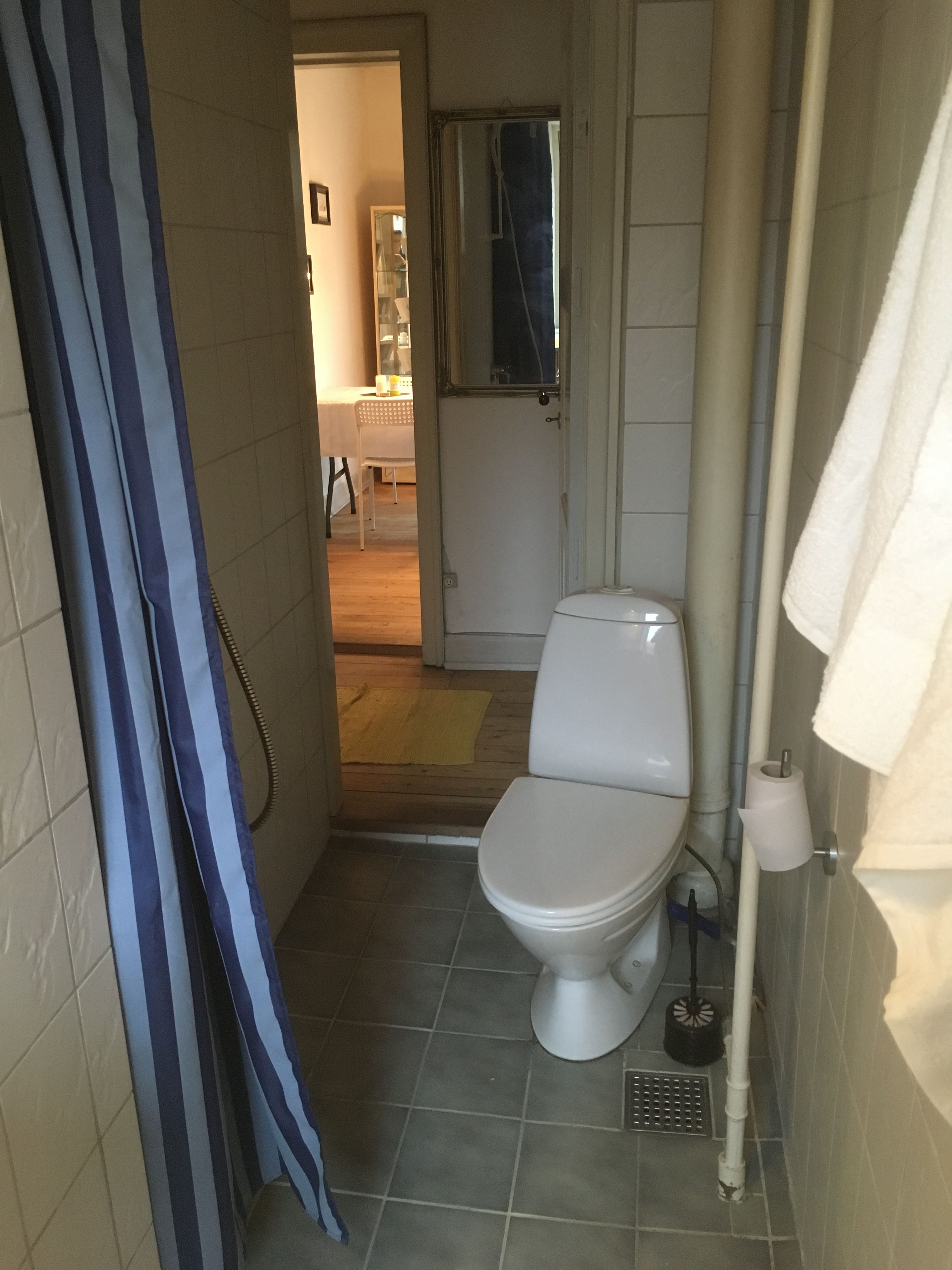 Værelse i lejlighed med stort set eget toilet/ bad og køkken.