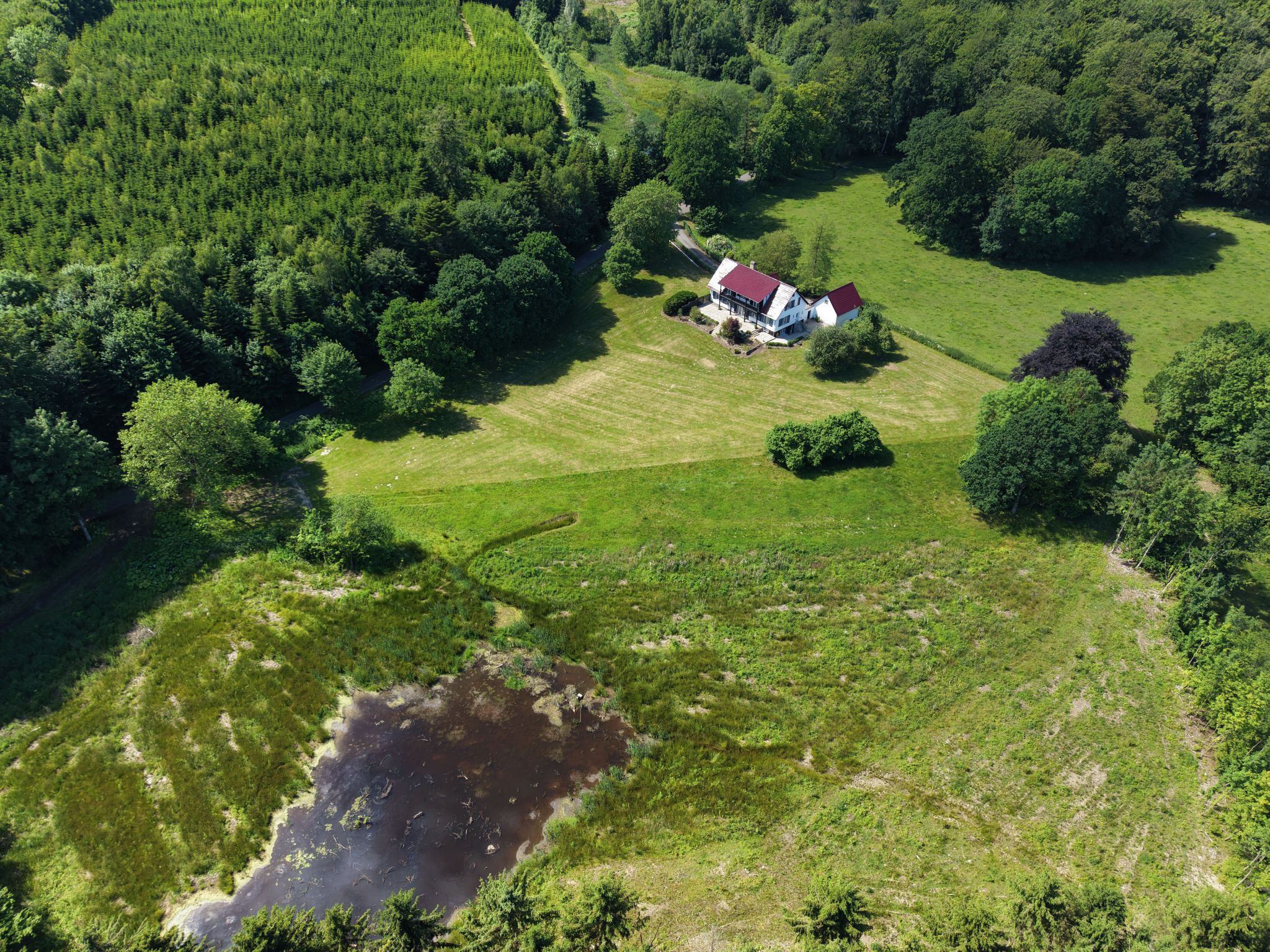 Enestående skovfogedbolig til leje – 271 m² midt i Hesbjerg Skoven