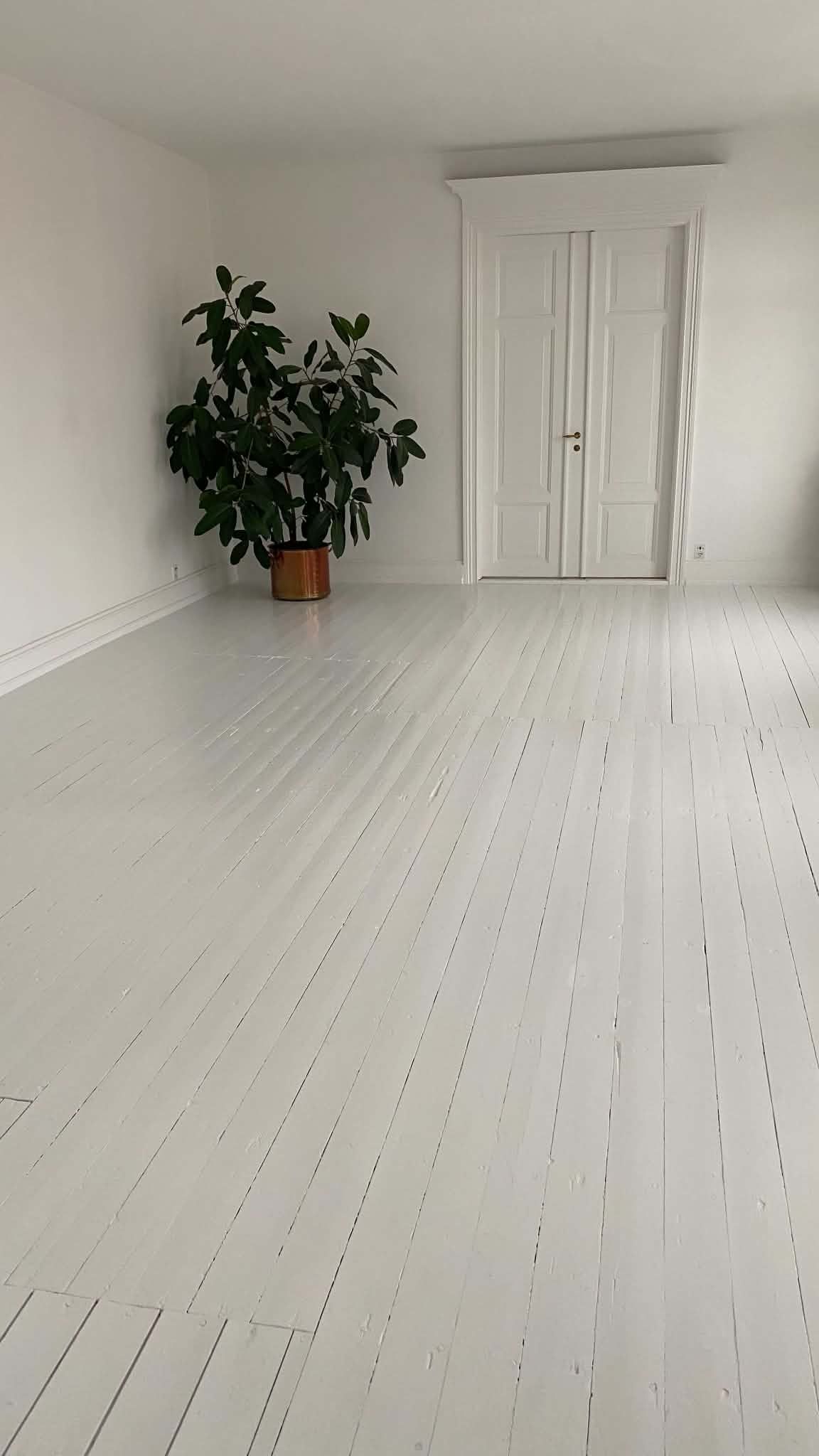  UNIK 250 M² LEJLIGHED I ASAA TIL LEJE FRA 1. OKTOBER