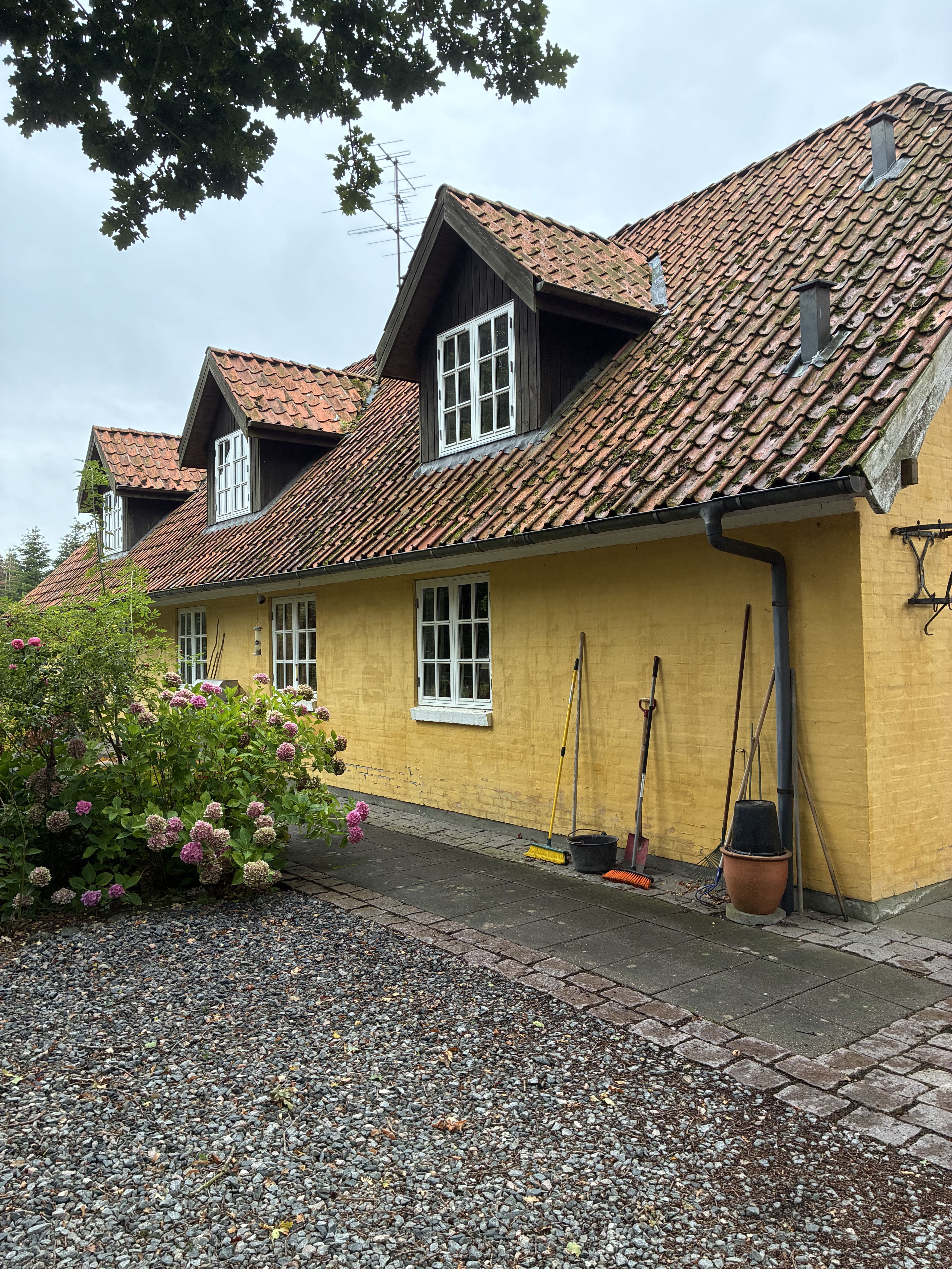 Fantastisk bolig midt i skoven og med mulighed for både hestehold og erhverv
