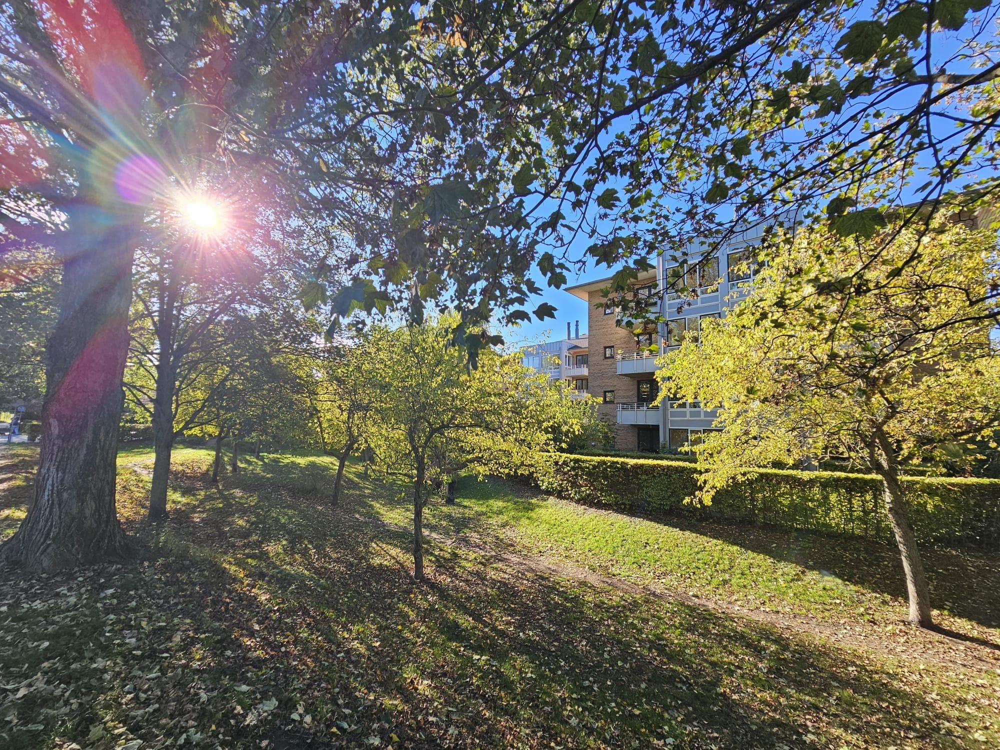Fantastic apartment Frederiksberg by the lakes 