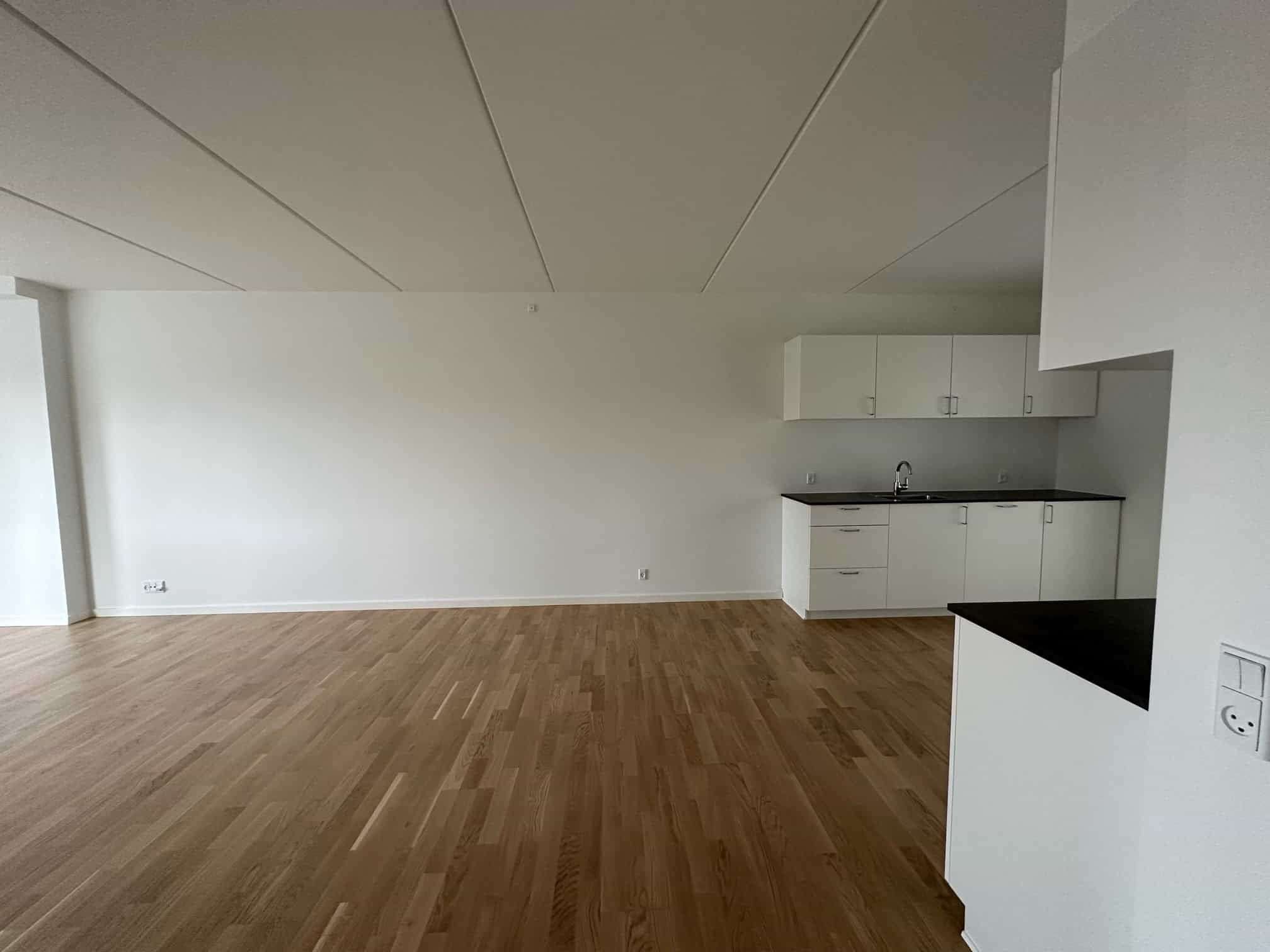 Rummelig stuelejlighed med terrasse og moderne faciliteter