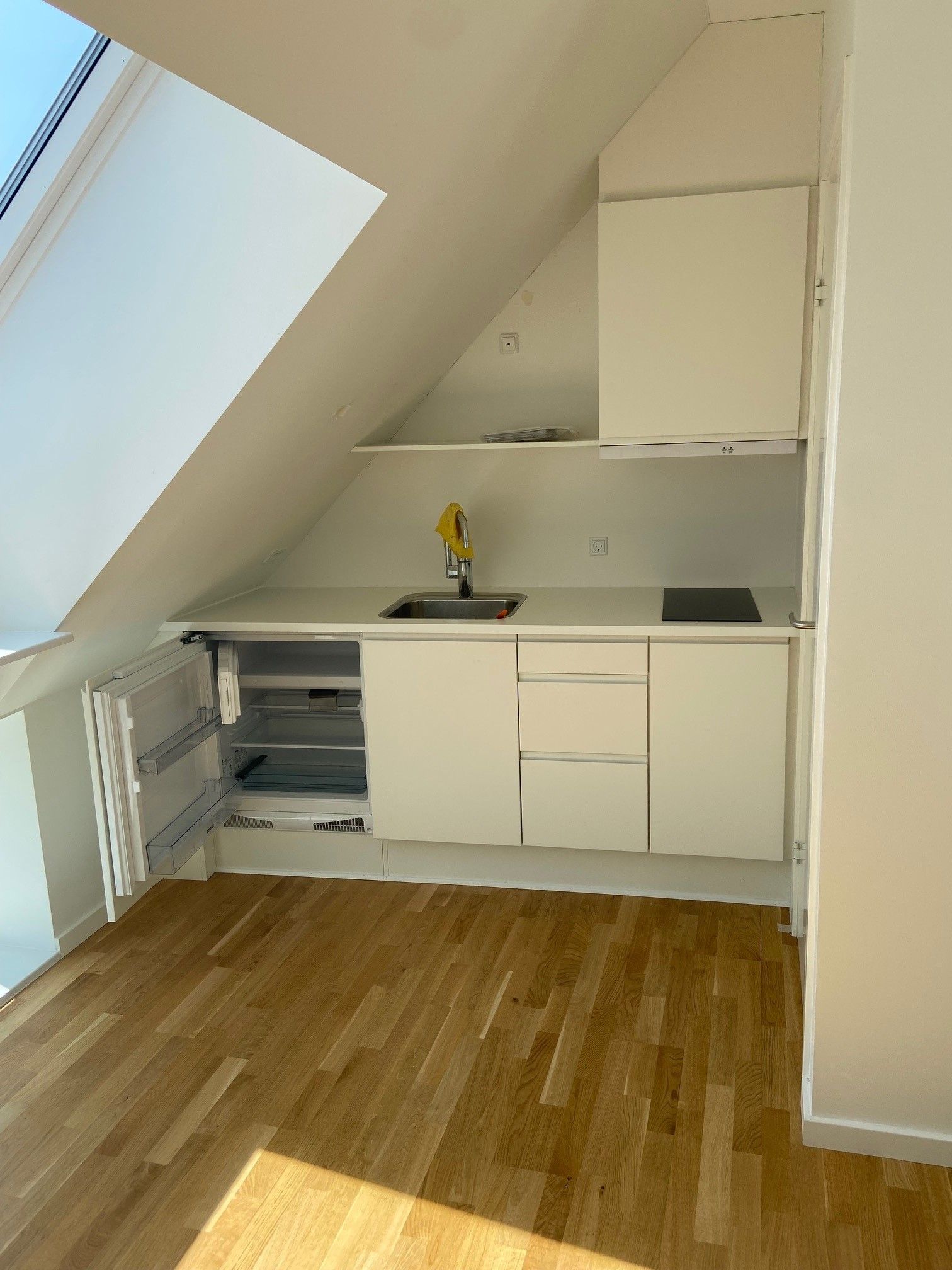 Nyere studie/ ungdomsbolig (uden studiepligt)