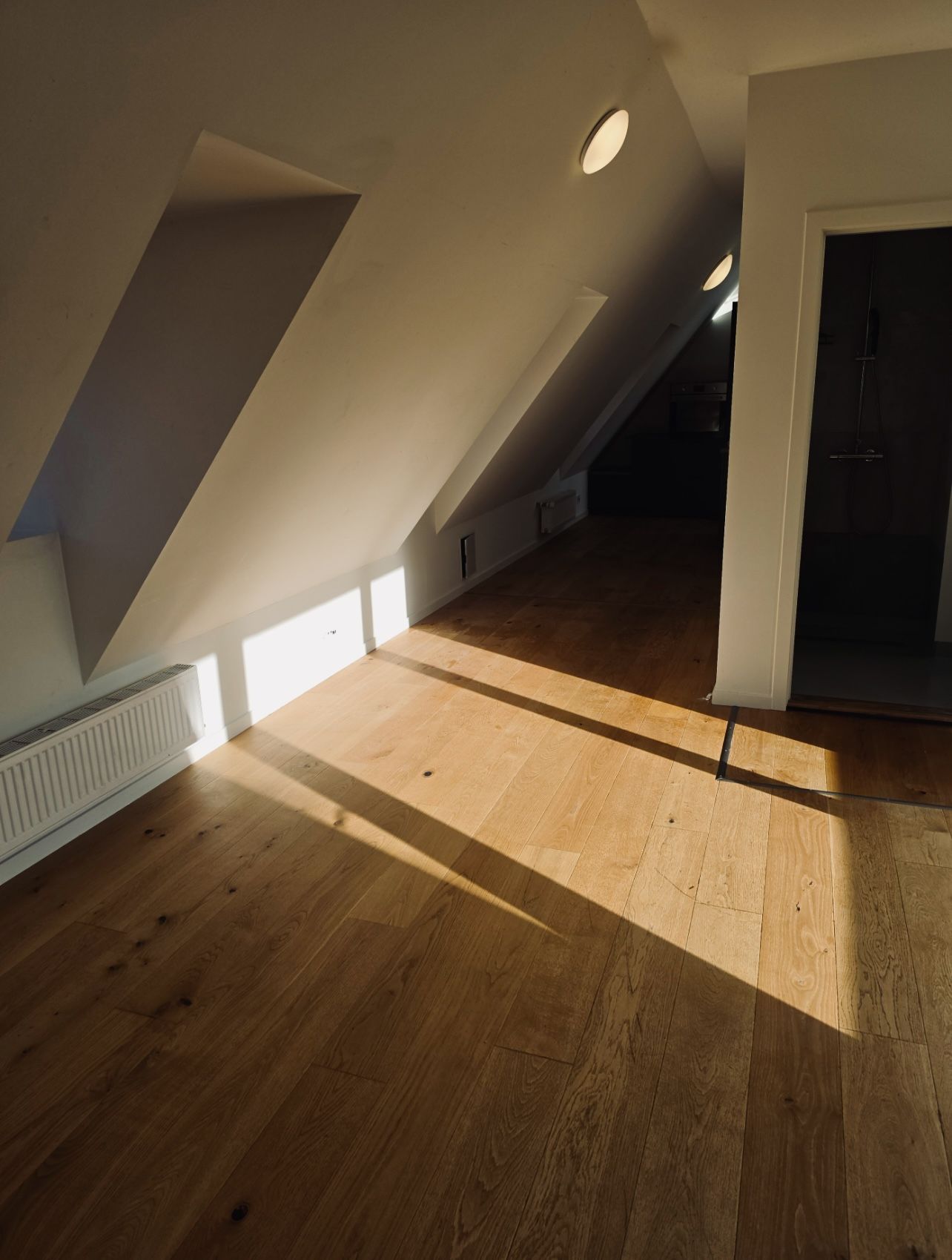 Penthouse Vestergade med egen altan