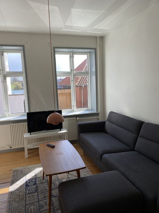 Udsigt over Koldinghus og Slotssøen