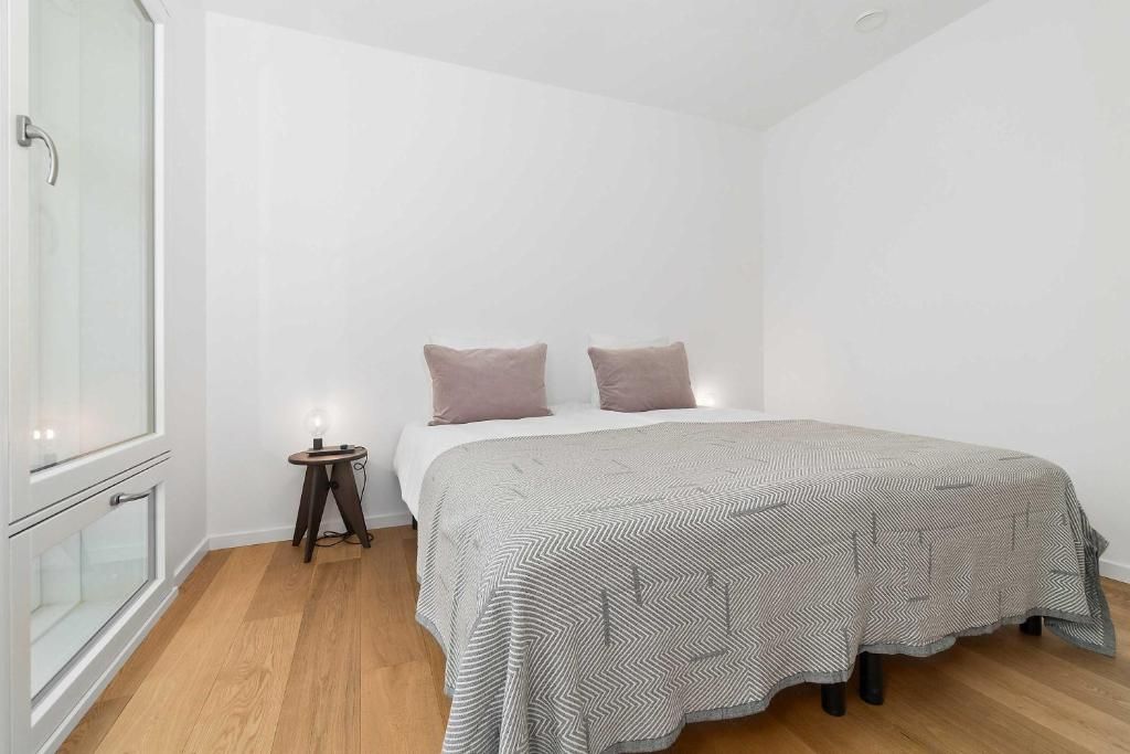 Fully furnished luxurious apartment 