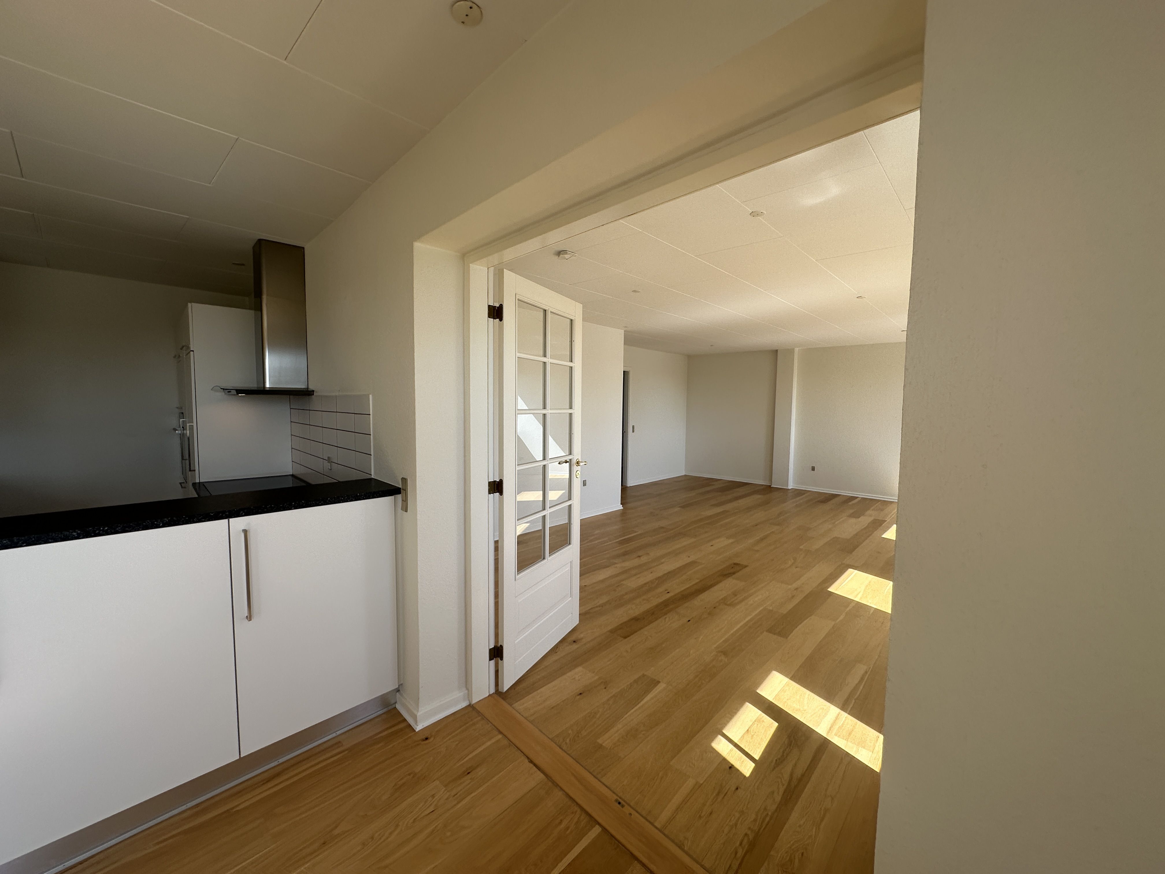 Lejlighed – Ikast - Visning 2