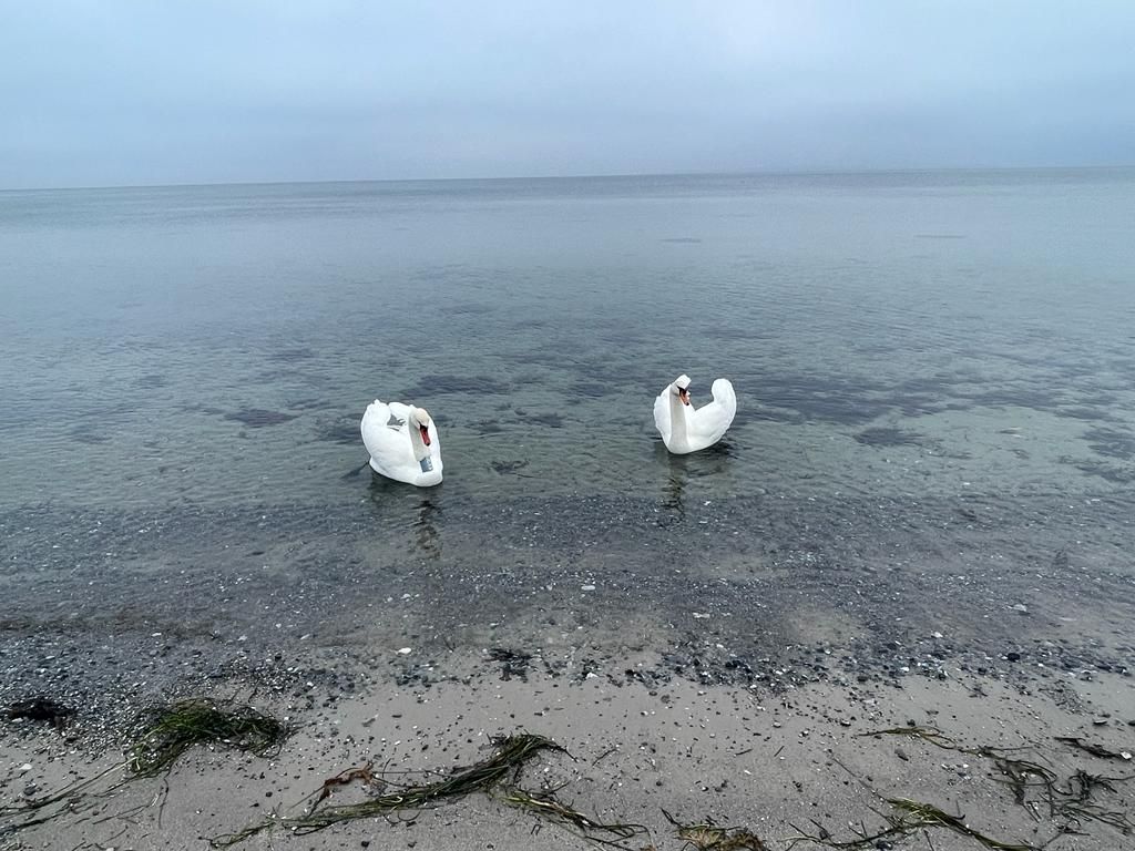 Hus direkte på privat strand