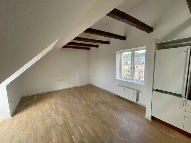 Skøn, 1vær, taglejl. i centrum