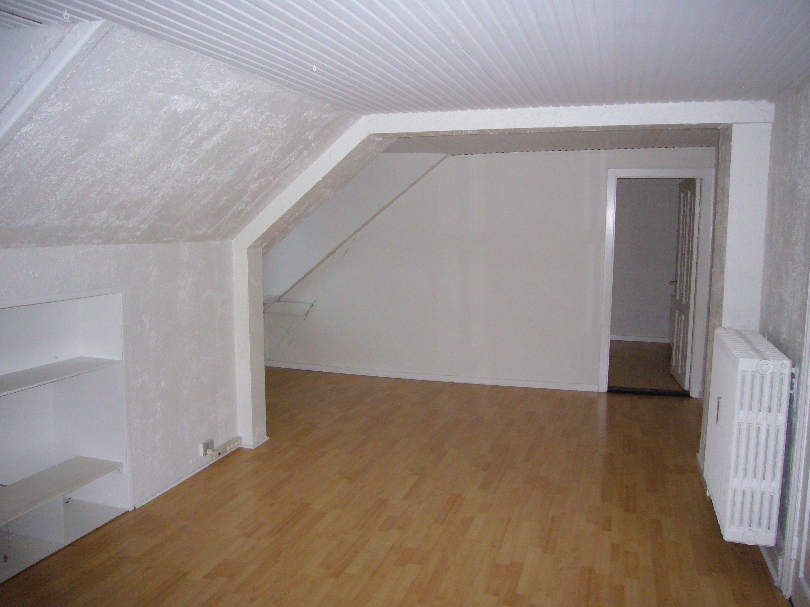 Stor midtbylejlighed