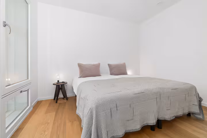 Fully furnished luxurious apartment 