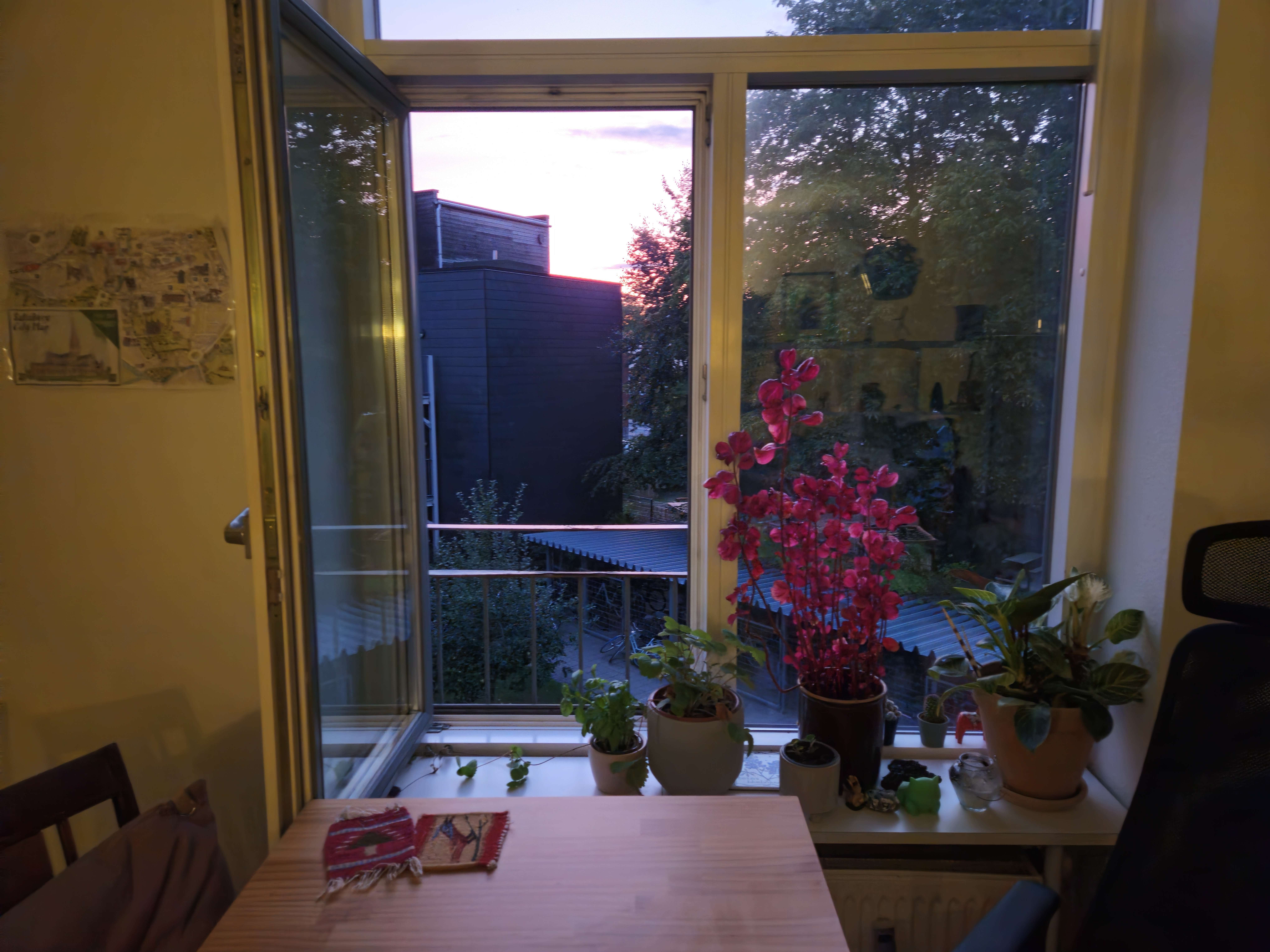 Fremleje af studio lejlighed / subletting studio apartment