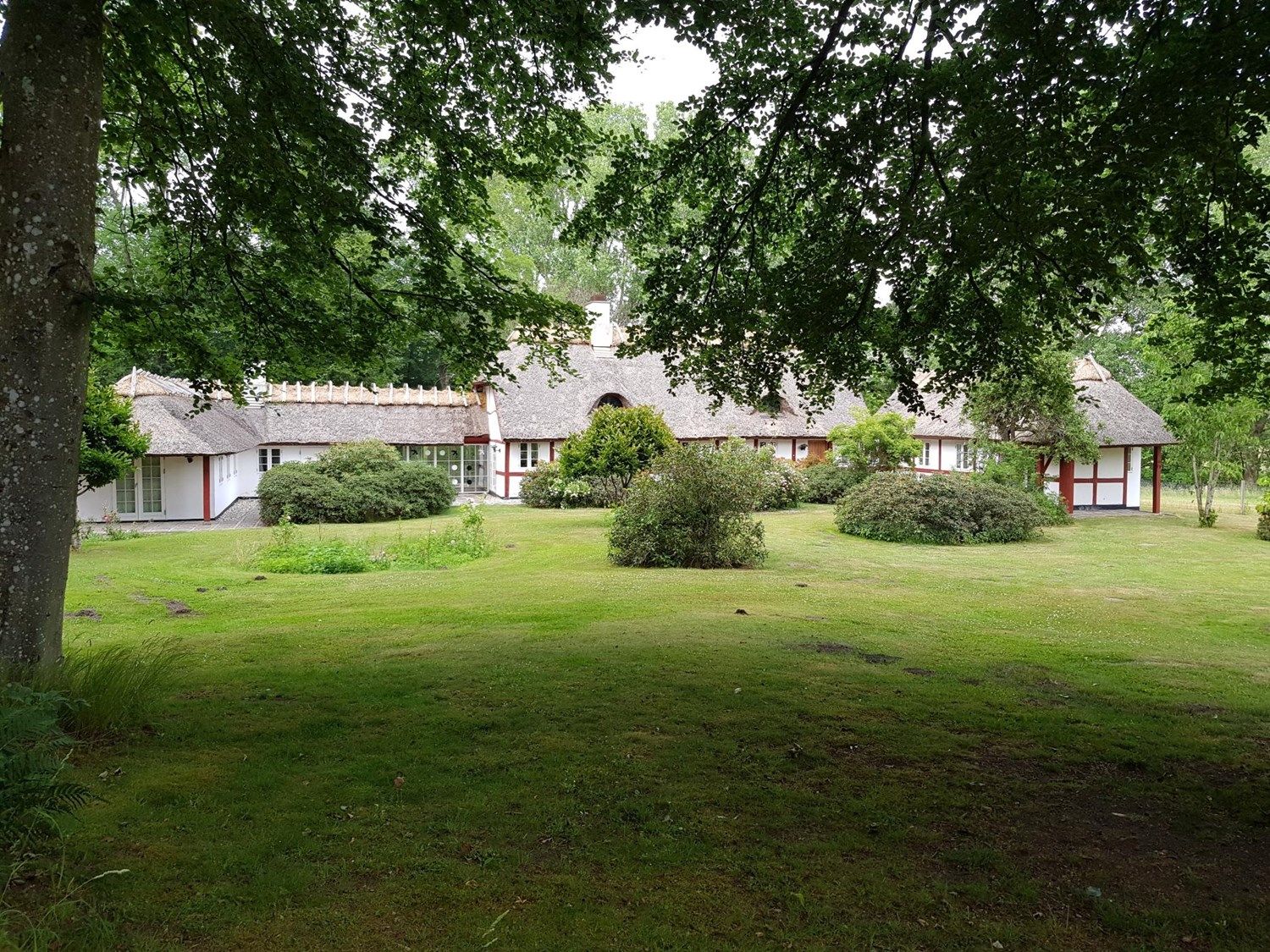 ​Idyllisk hus på park lignende grund med skoven som nabo