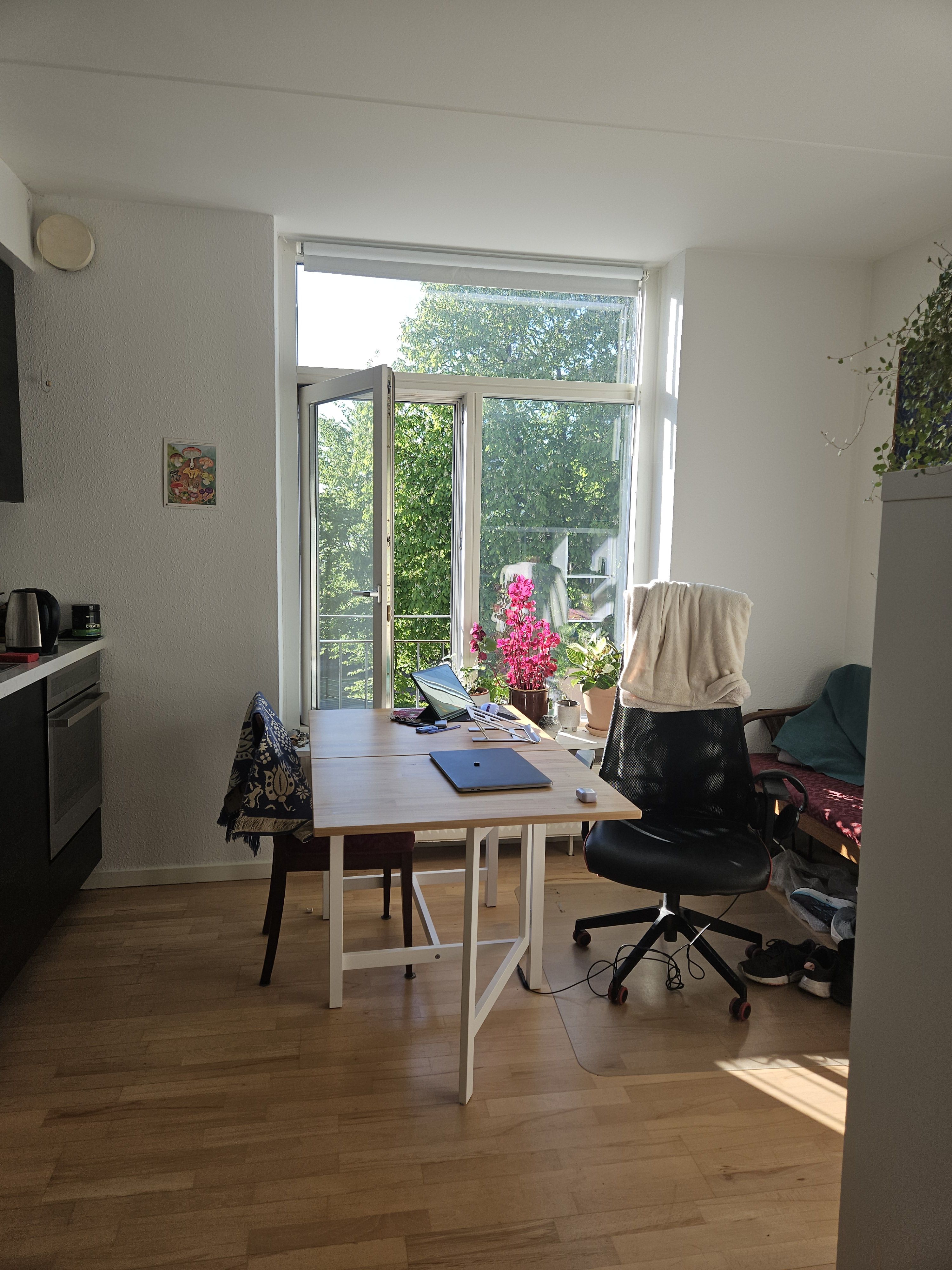 Fremleje af studio lejlighed / subletting studio apartment