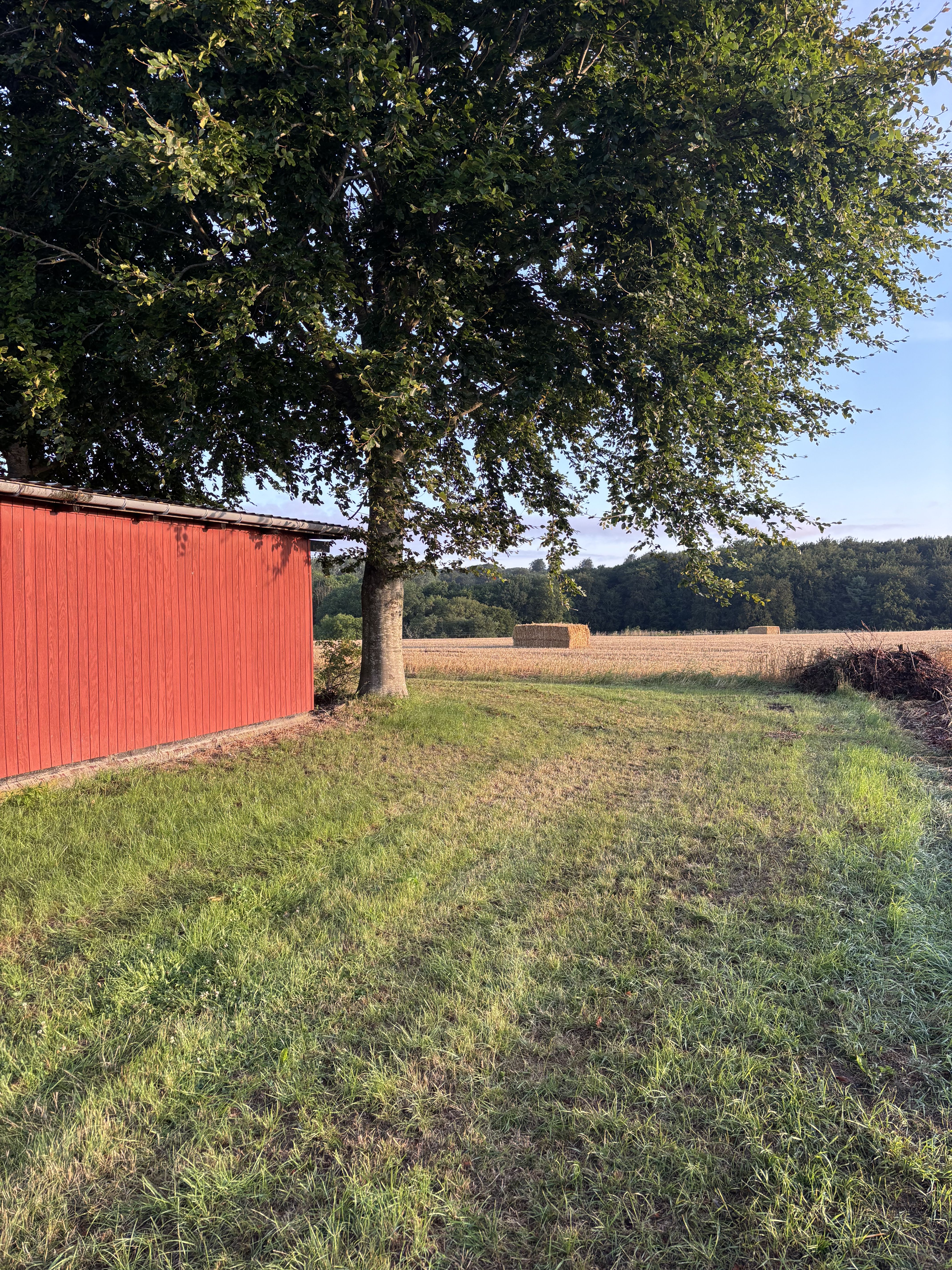 Landhus ved Ledreborg skov i Lejre