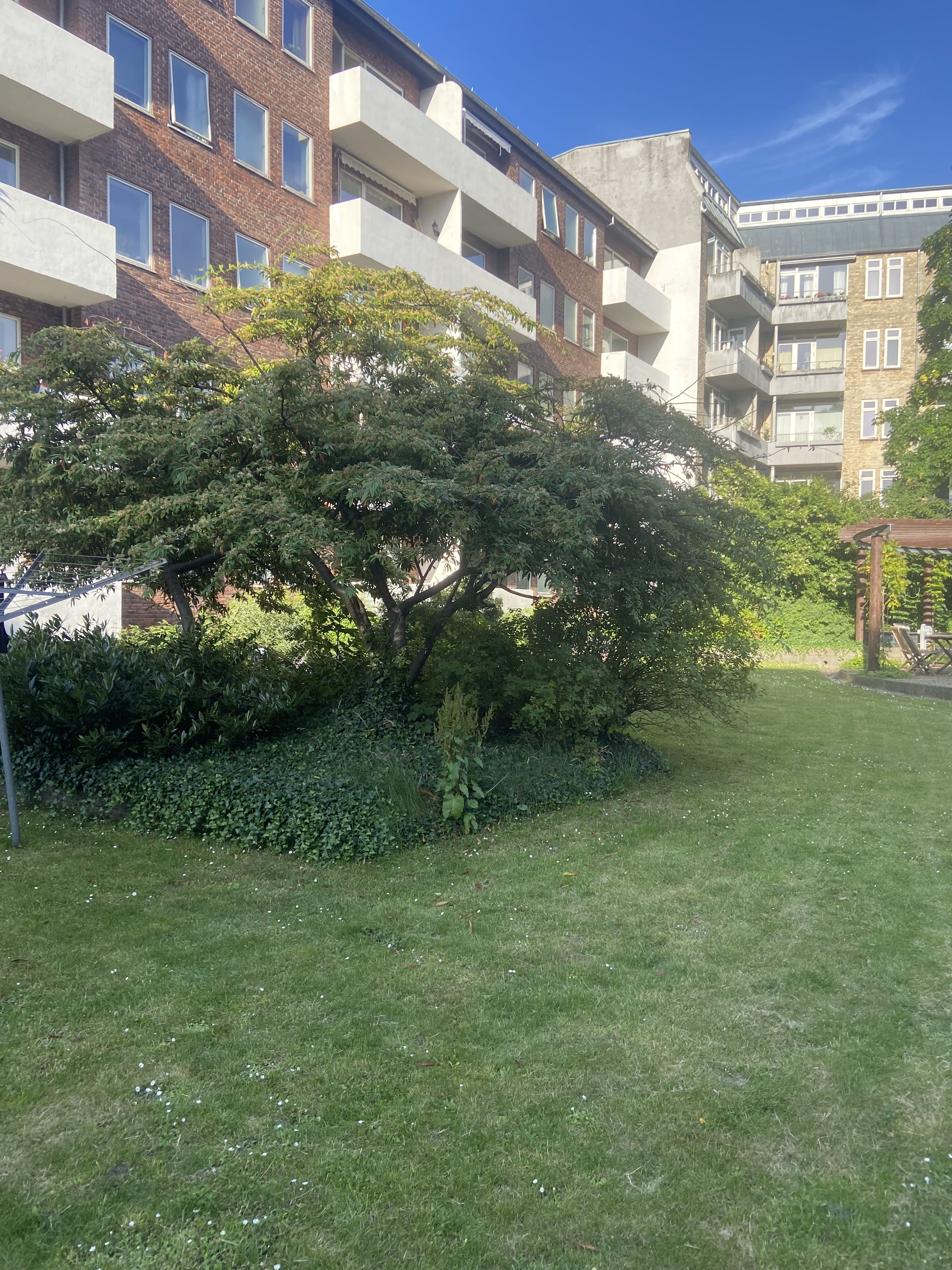 Dejligt værelse centralt i Valby 