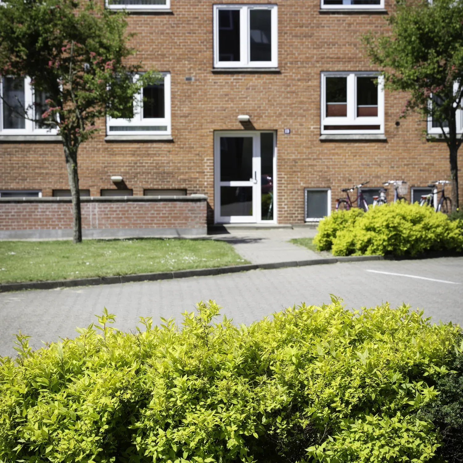 Afdelingen er beliggende på Holbergsvej i nærheden af Lavhedecentret, Gråkjær Arena, Stationen, VIA, daginstitutioner og Rolf Krake Skolen.