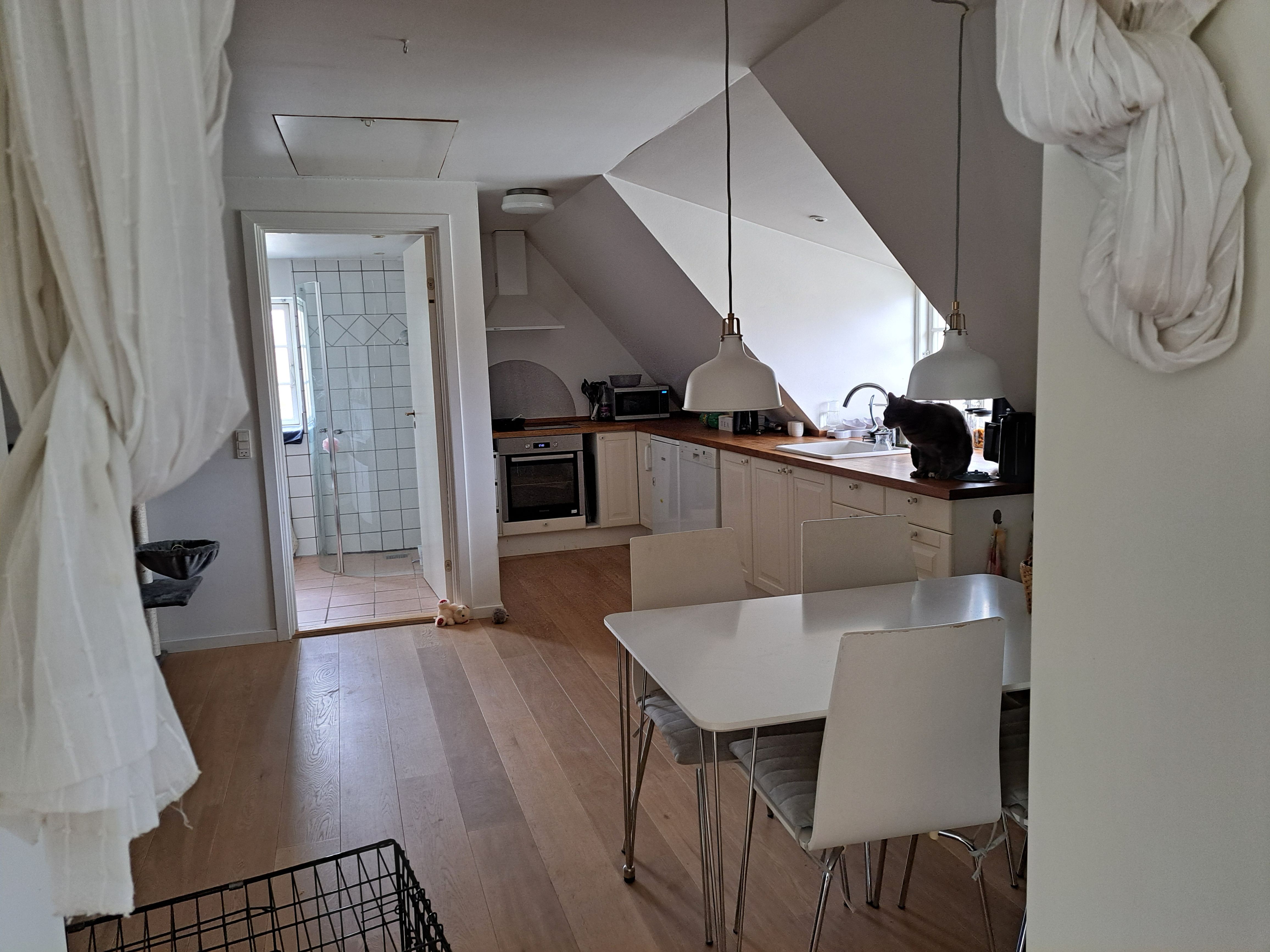 Lejlighed i smukke omgivelser på landet 