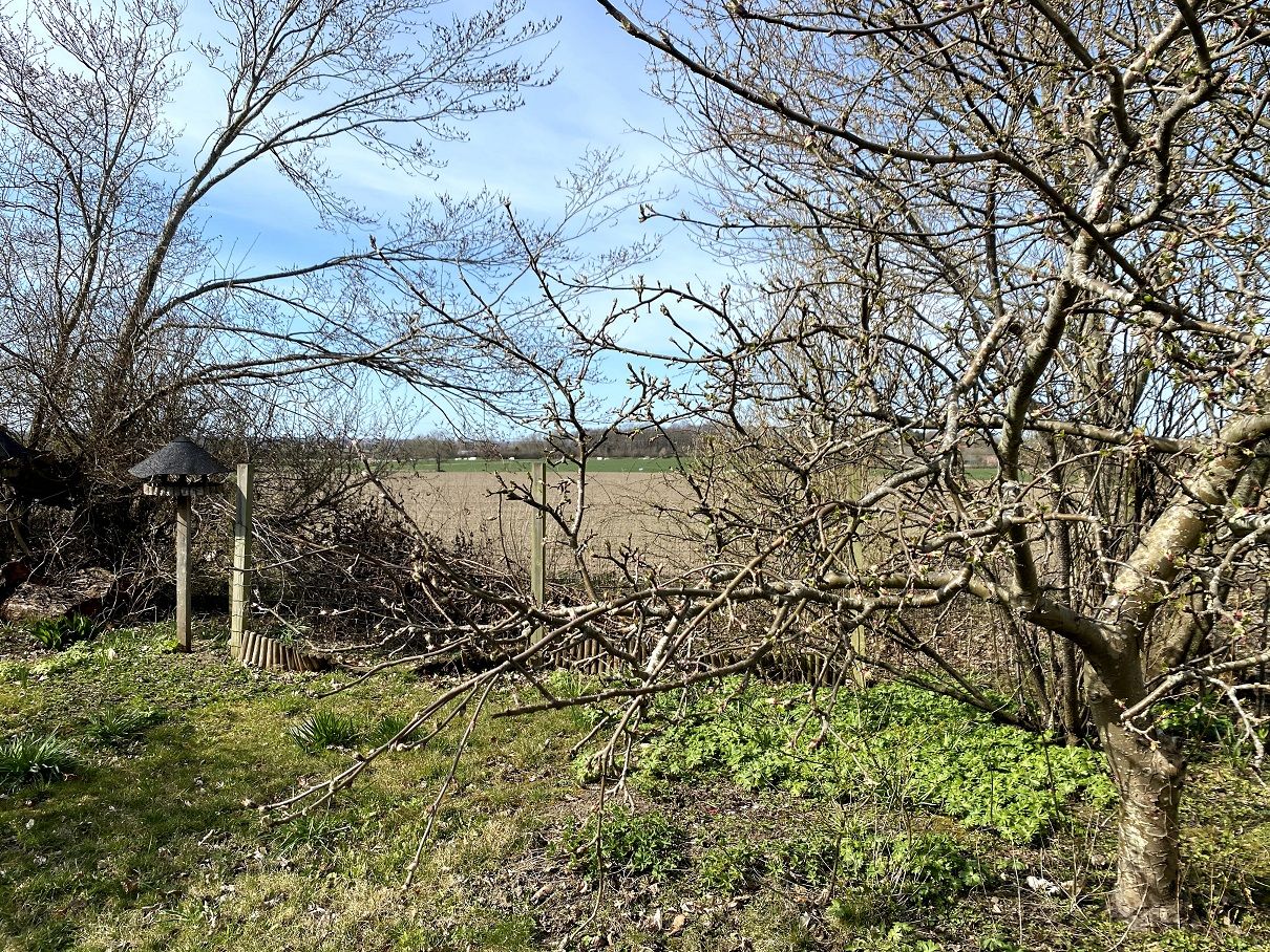 3 værelses hus på Ledreborg Allé i Roskilde udlejes