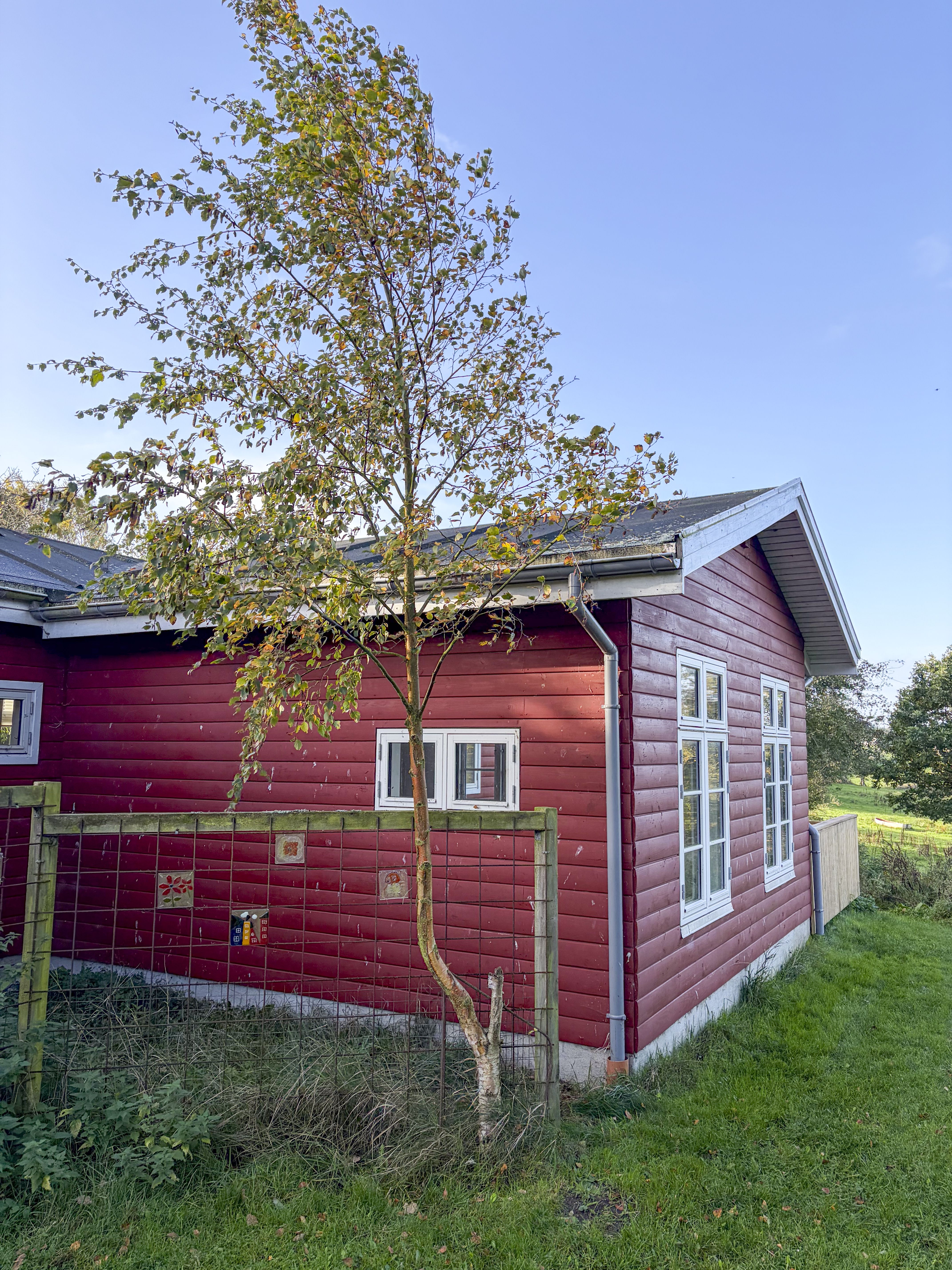 Skønt træhus i naturskønne omgivelser