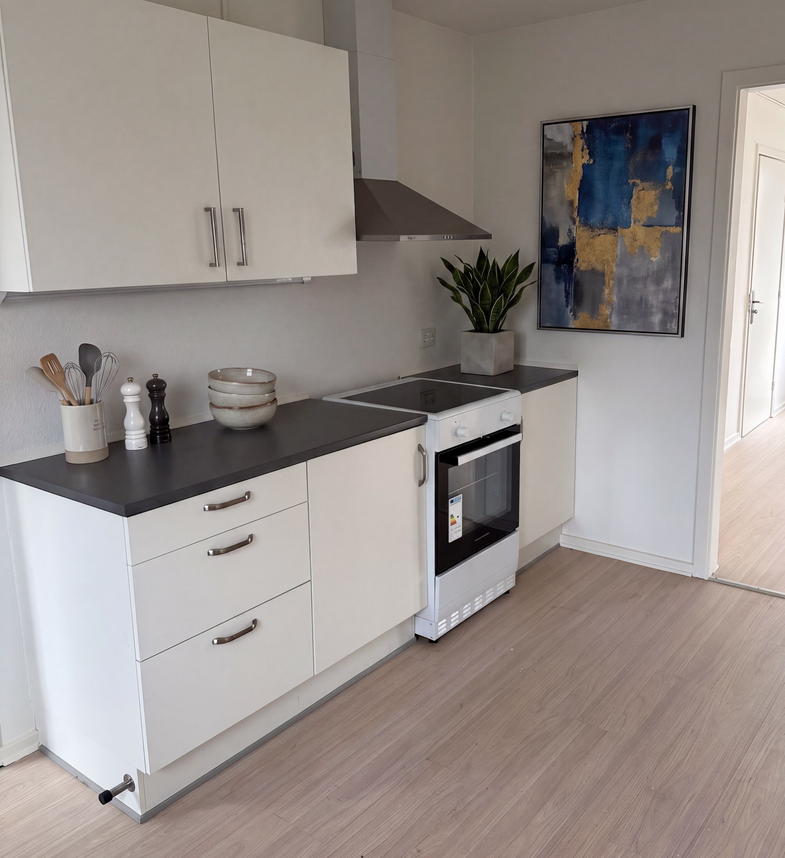 Charmerende og rummelig lejlighed med egen terrasse