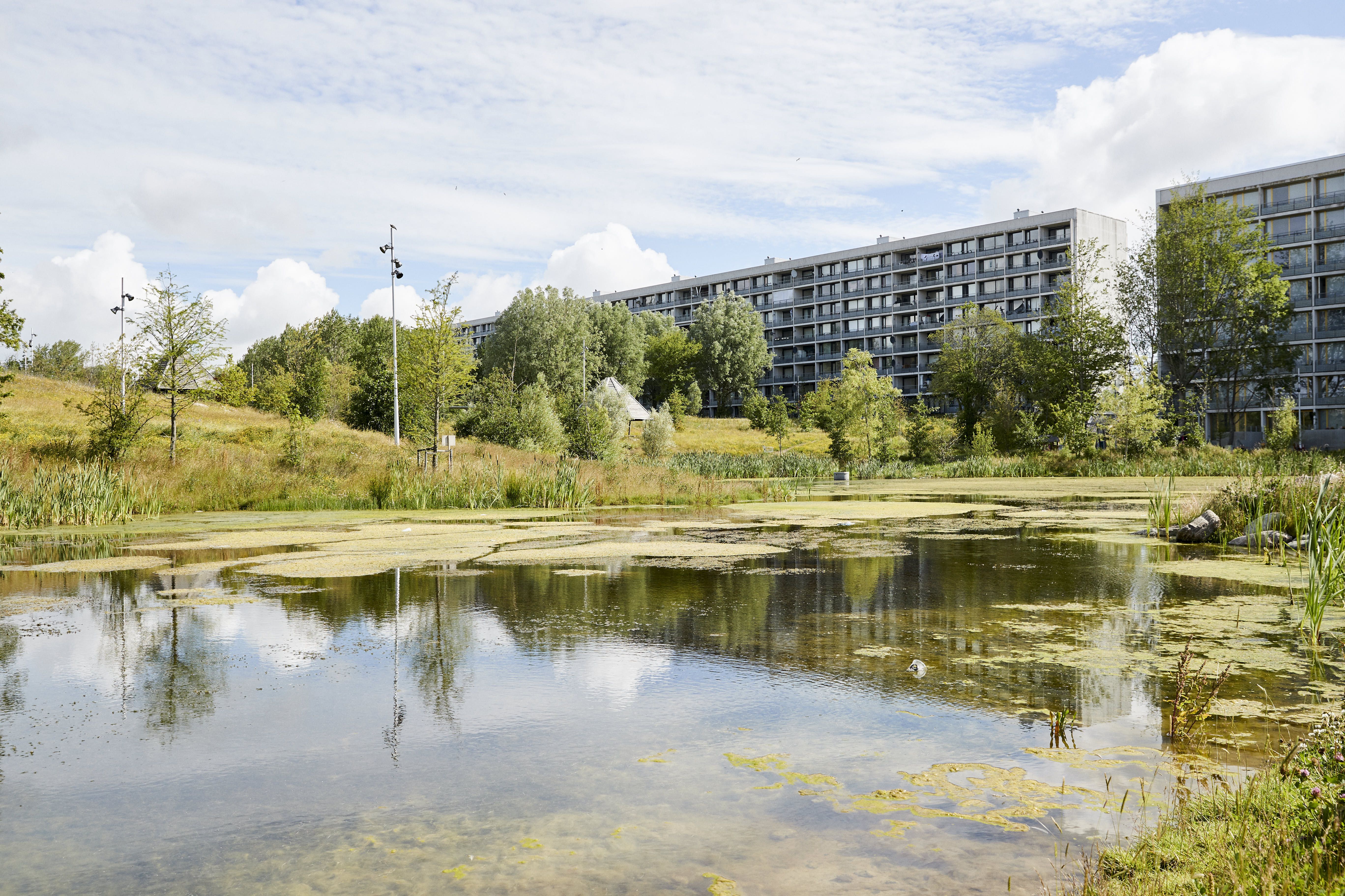 4 - værelses lejlighed med god planløsning. 