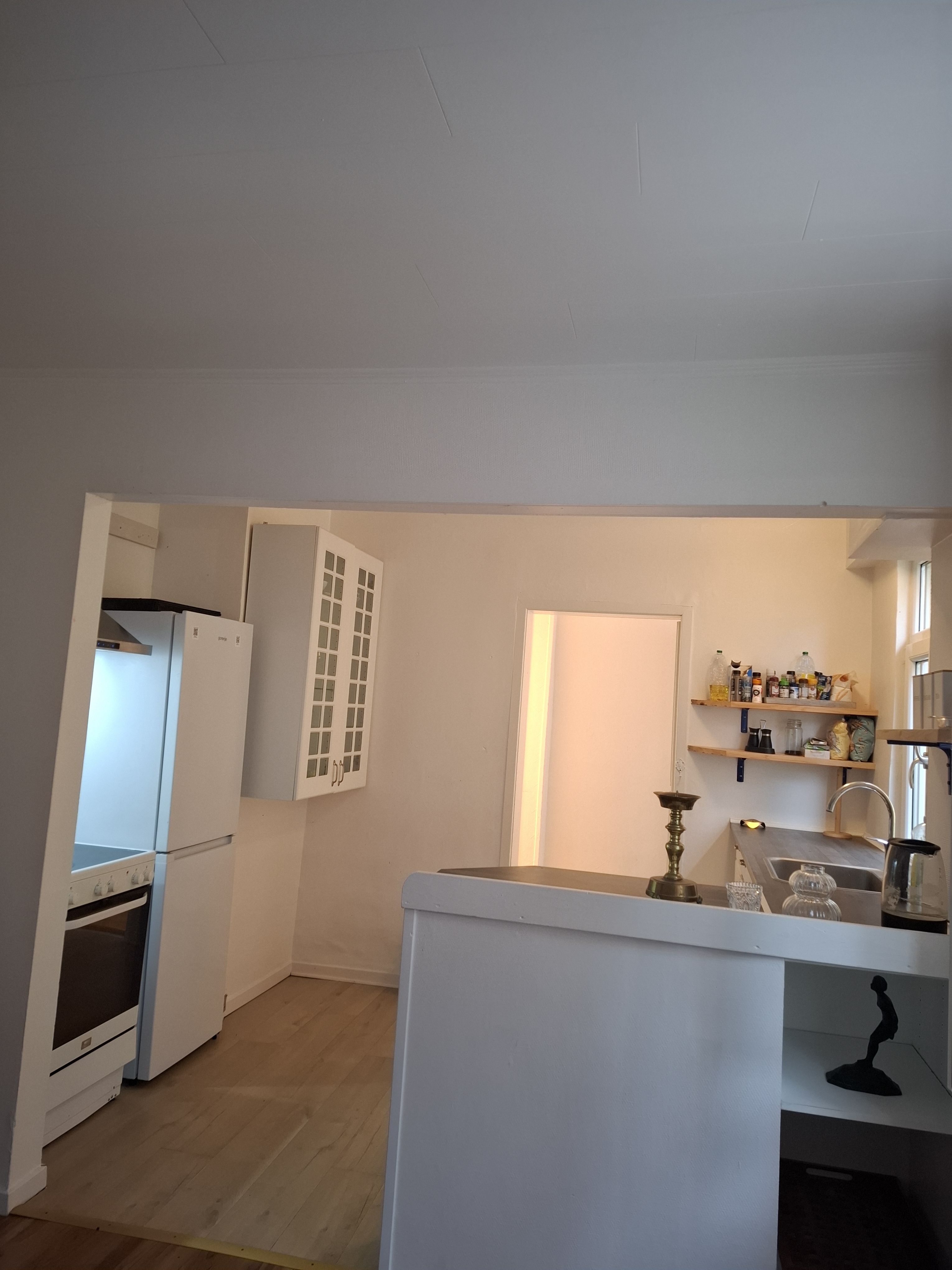 hus til leje 