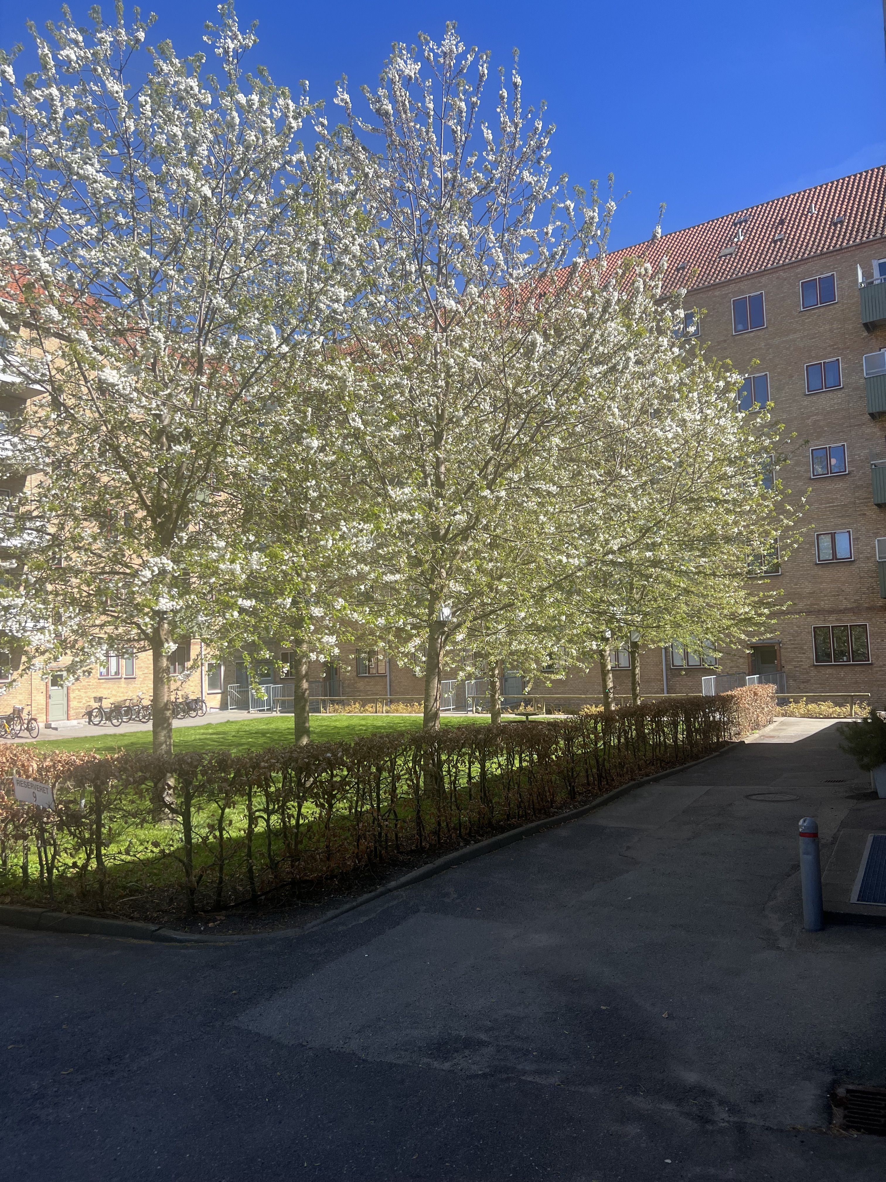 Lejlighed med smuk udsigt .