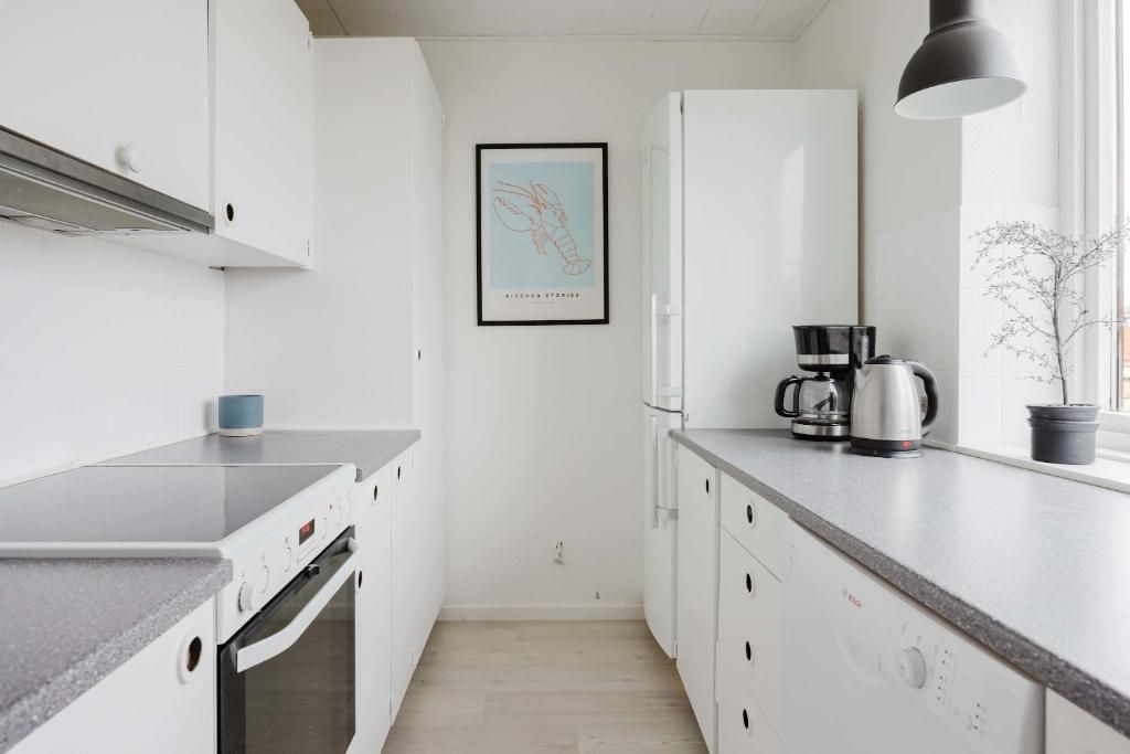 Spacious Apartment Near Copenhagen City Center