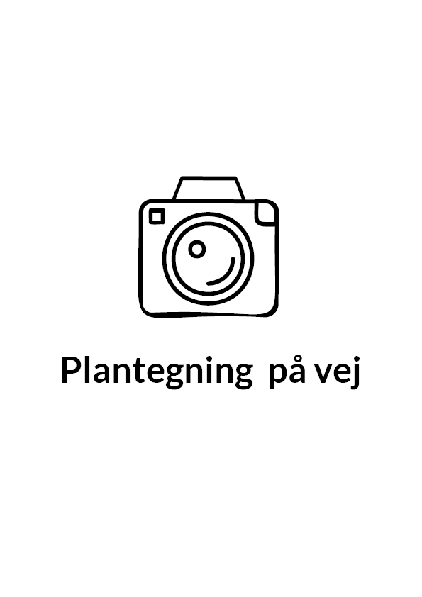 Moderne boliger med en attraktiv beliggenhed i Kolding