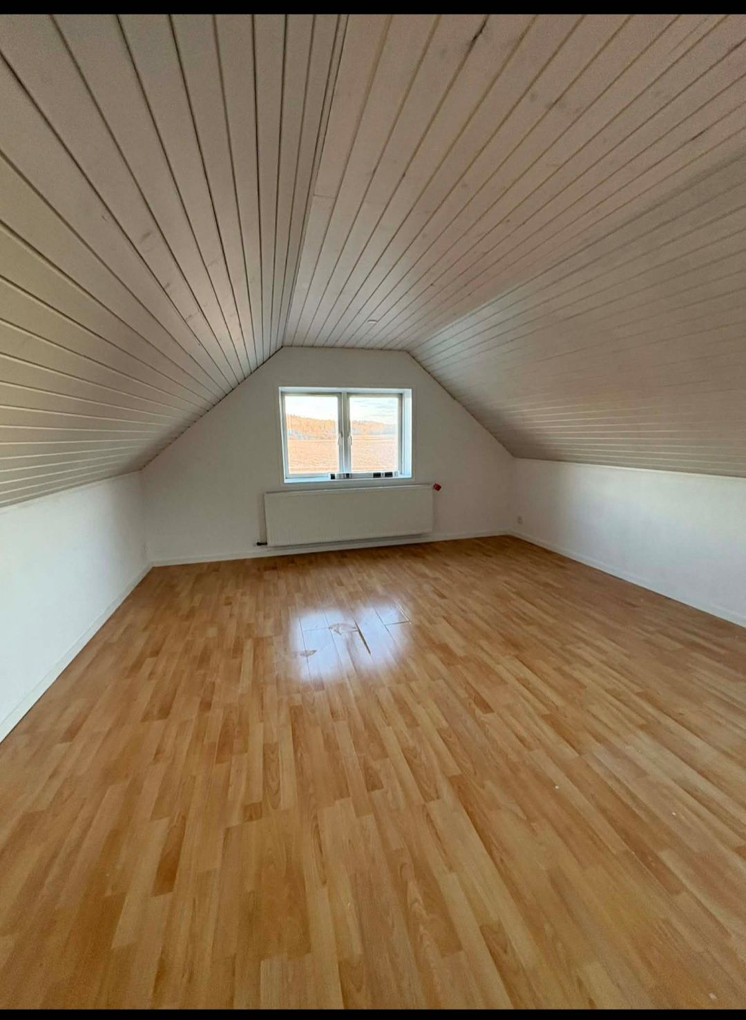Hus med have på landet 