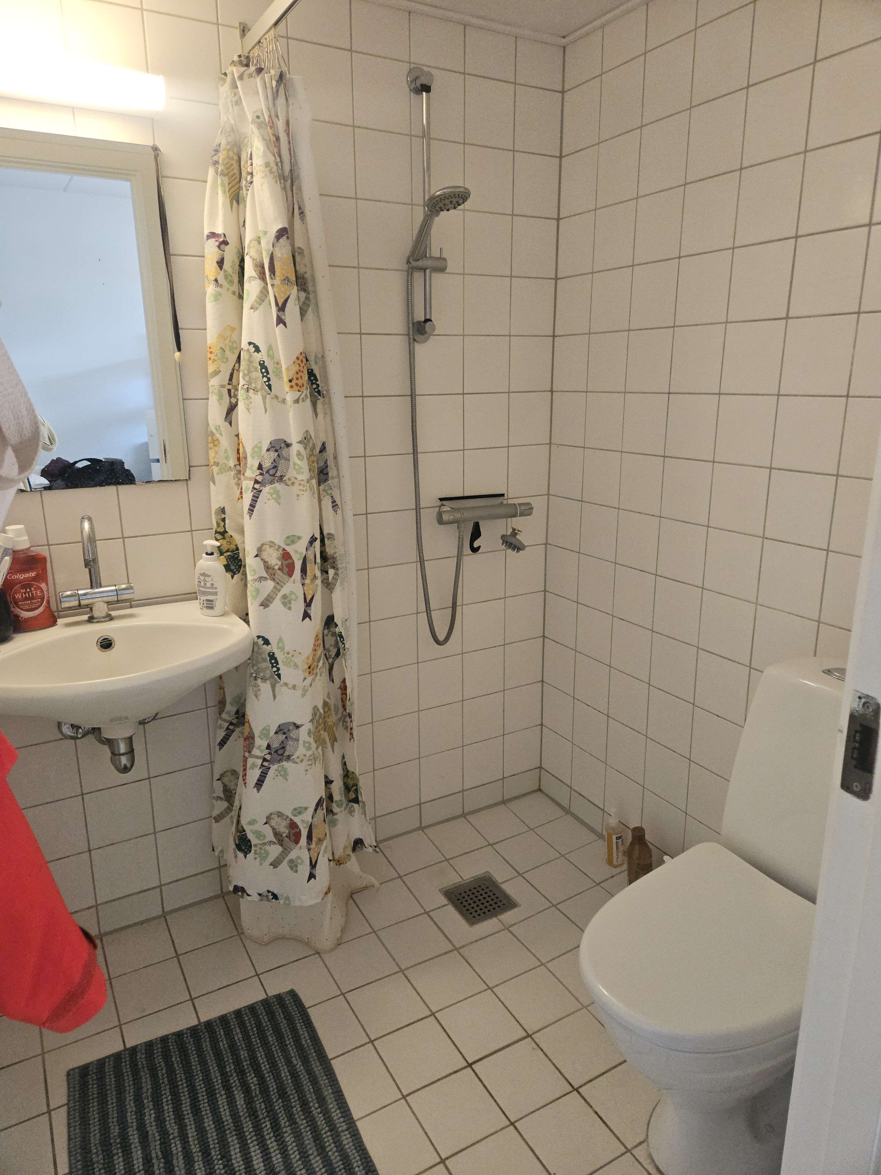 Fremleje af studio lejlighed / subletting studio apartment
