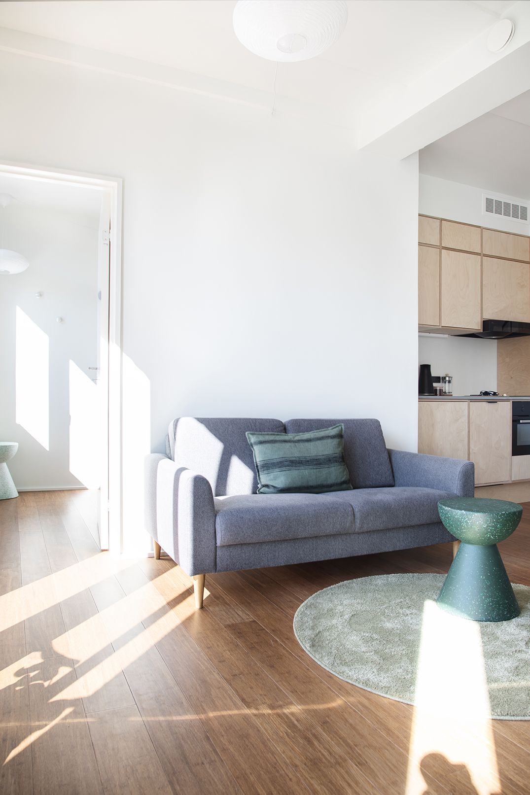Furnished co-living apartment for working professionals