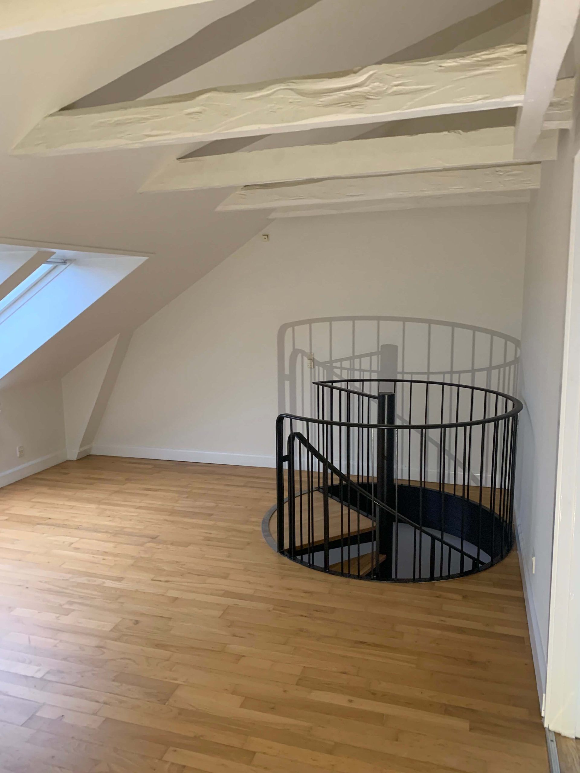 Lejlighed Odense C