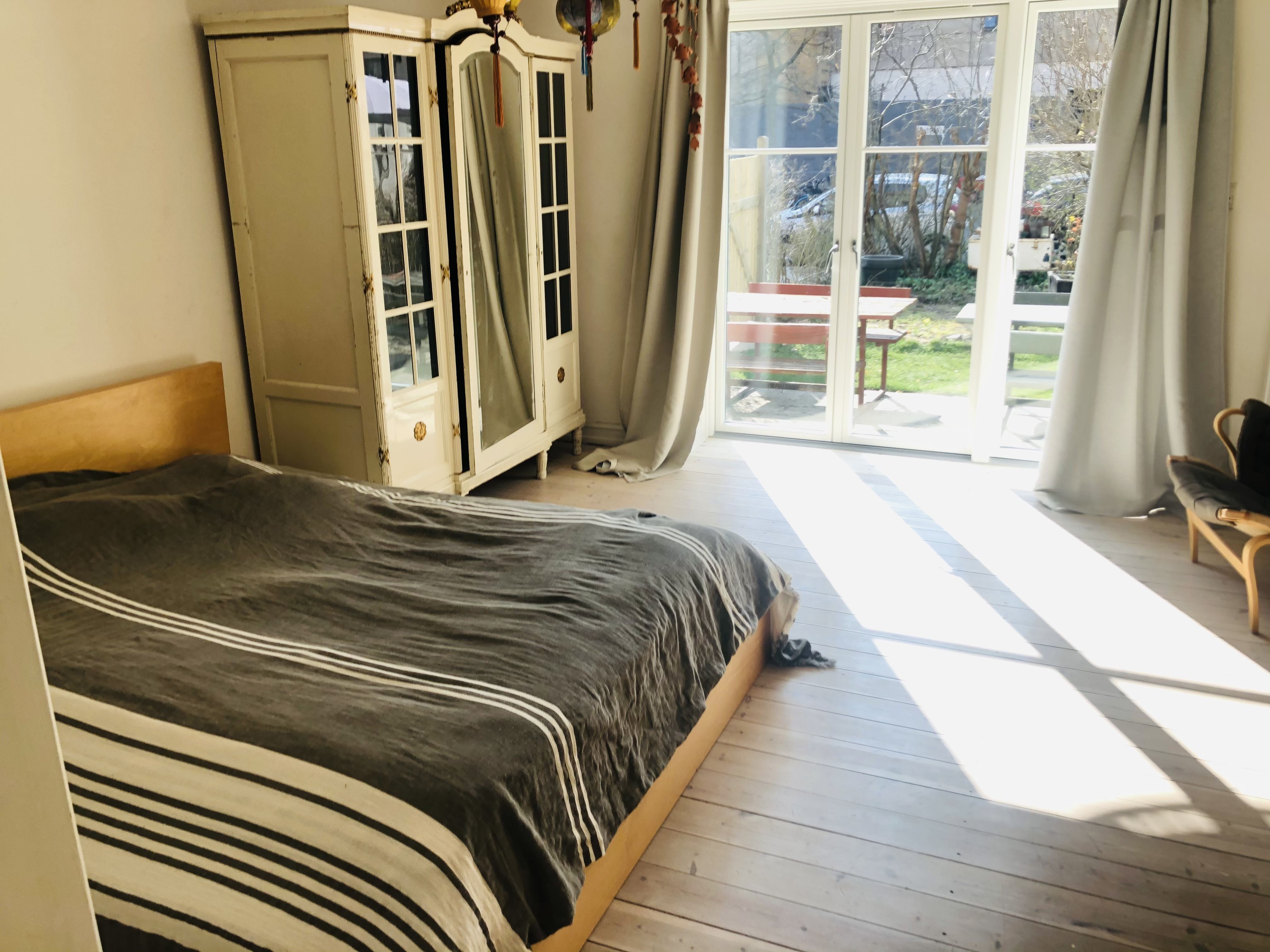 Room with garden and a cat