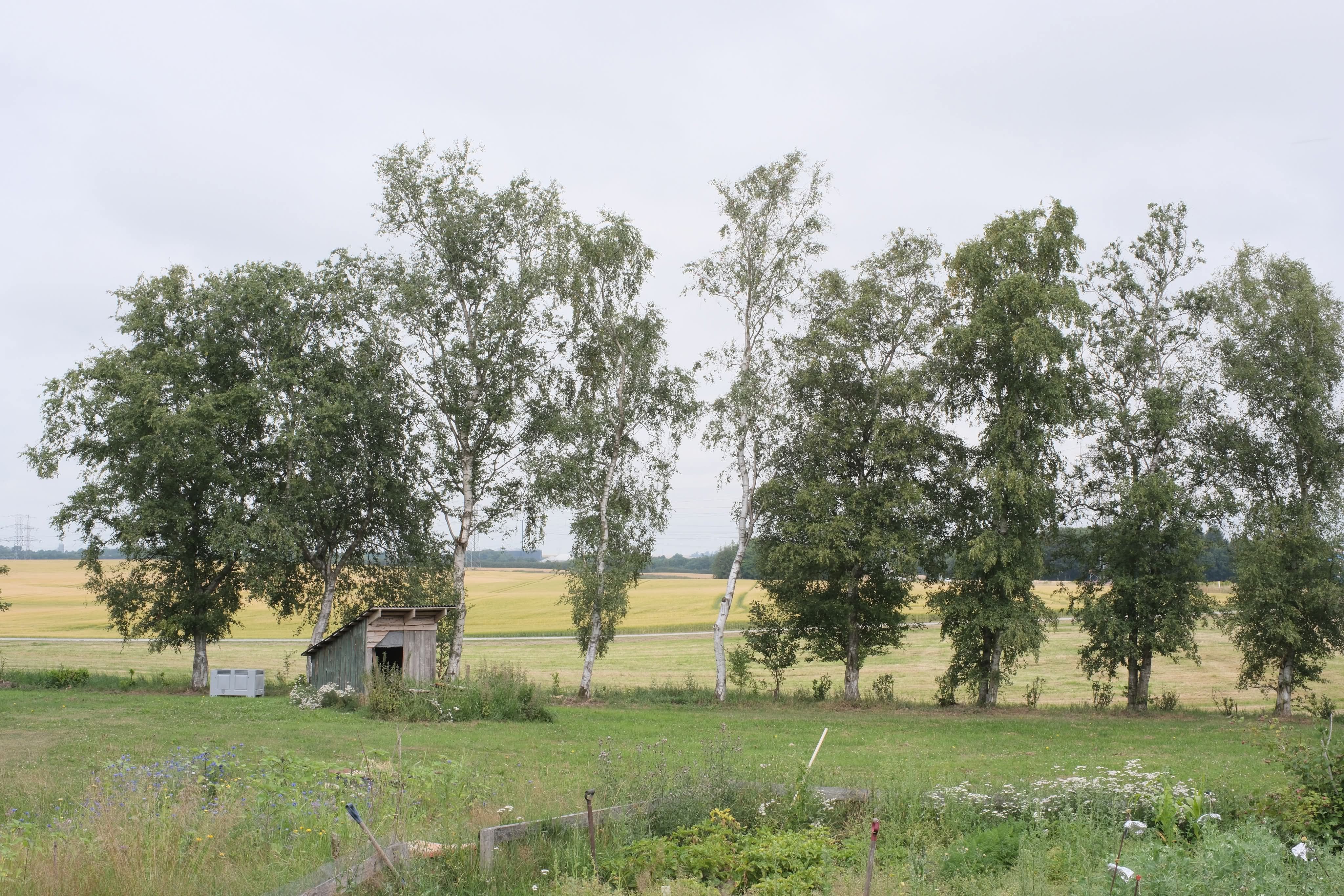 Hyggeligt hus på landet - tæt på busser og byen